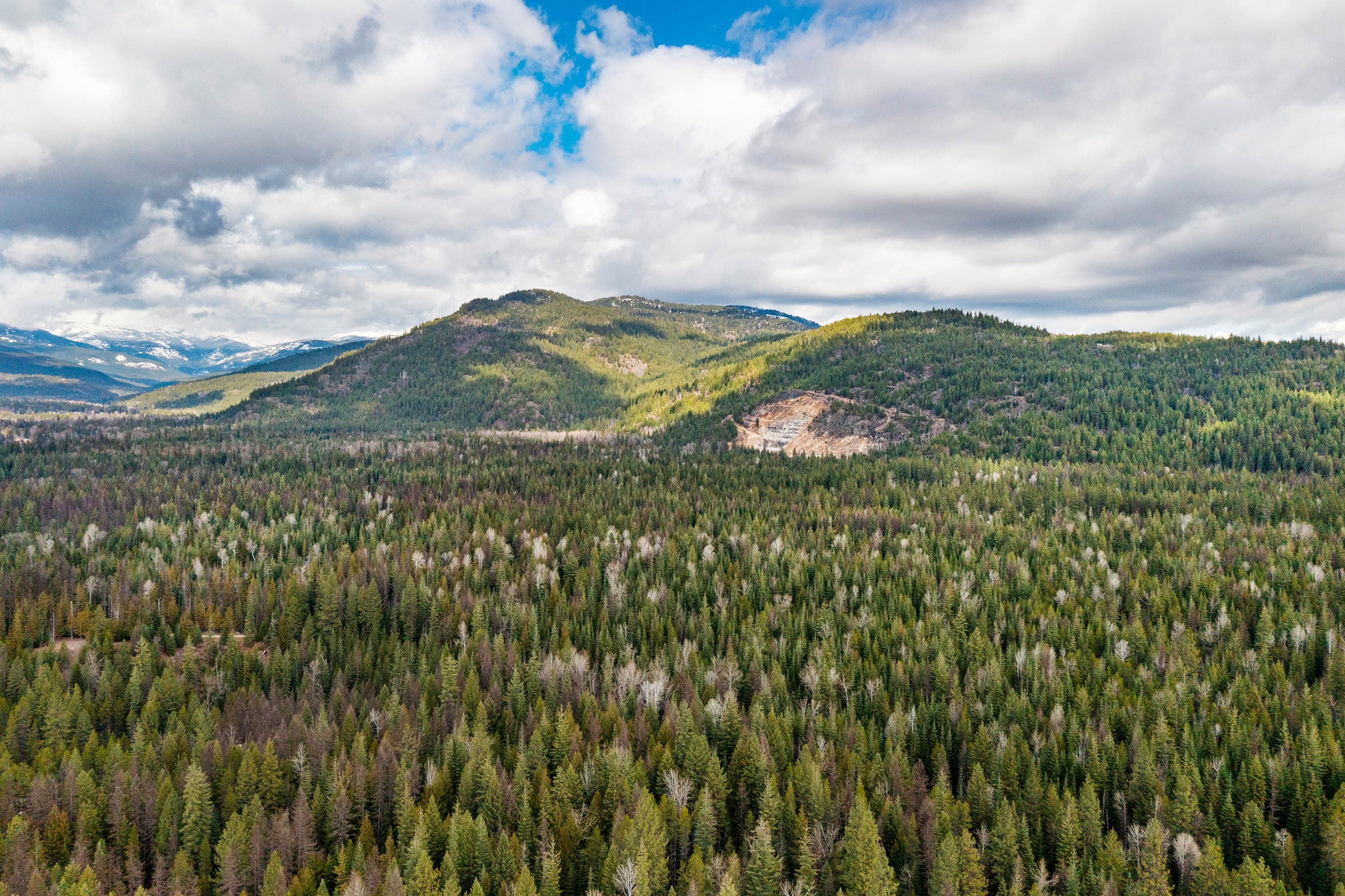 Sandpoint, Idaho, 83864, United States, ,Land,For Sale,2016068