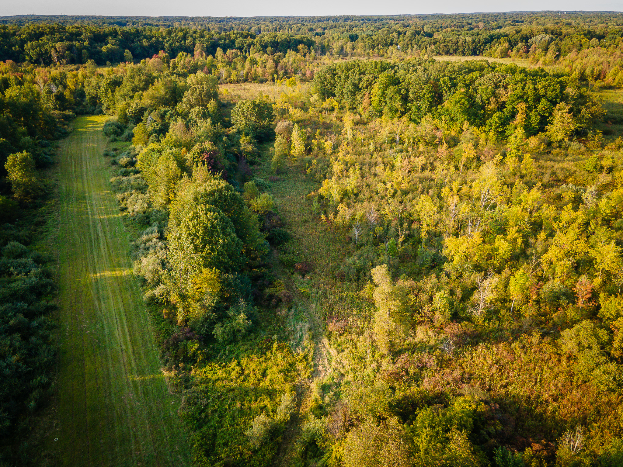 Jackson, Michigan, 49201, United States, 4 Bedrooms Bedrooms, ,2 BathroomsBathrooms,Residential,For Sale,1981022