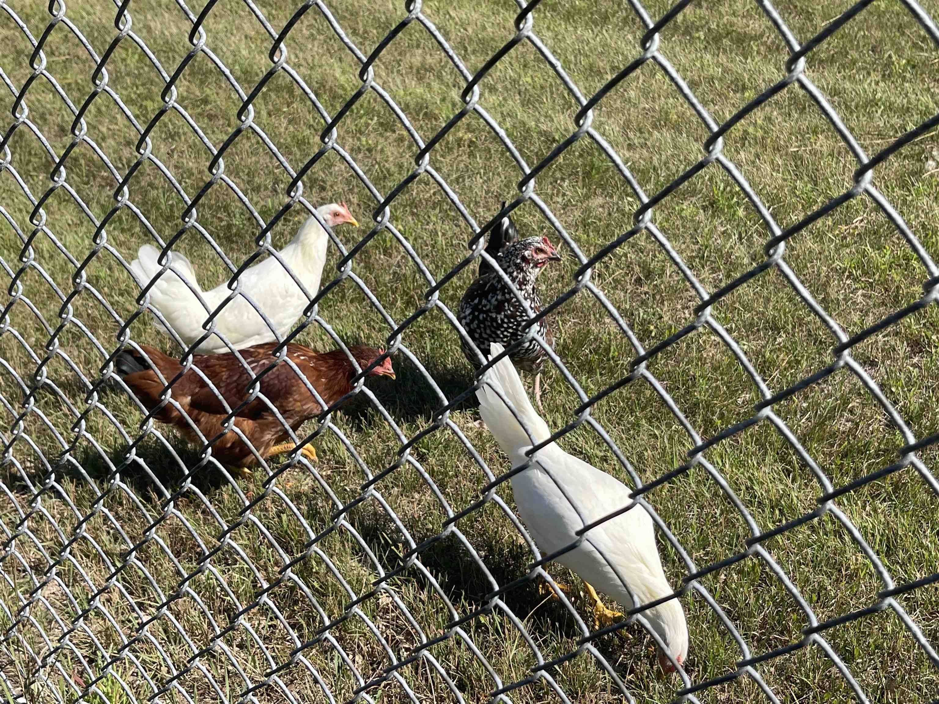 Harrison, Michigan, 48625, United States, 3 Bedrooms Bedrooms, ,3 BathroomsBathrooms,Residential,For Sale,2007492