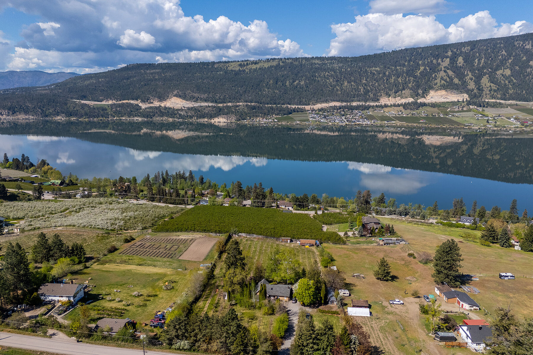  2.63 Acres in Oyama - 物件實景