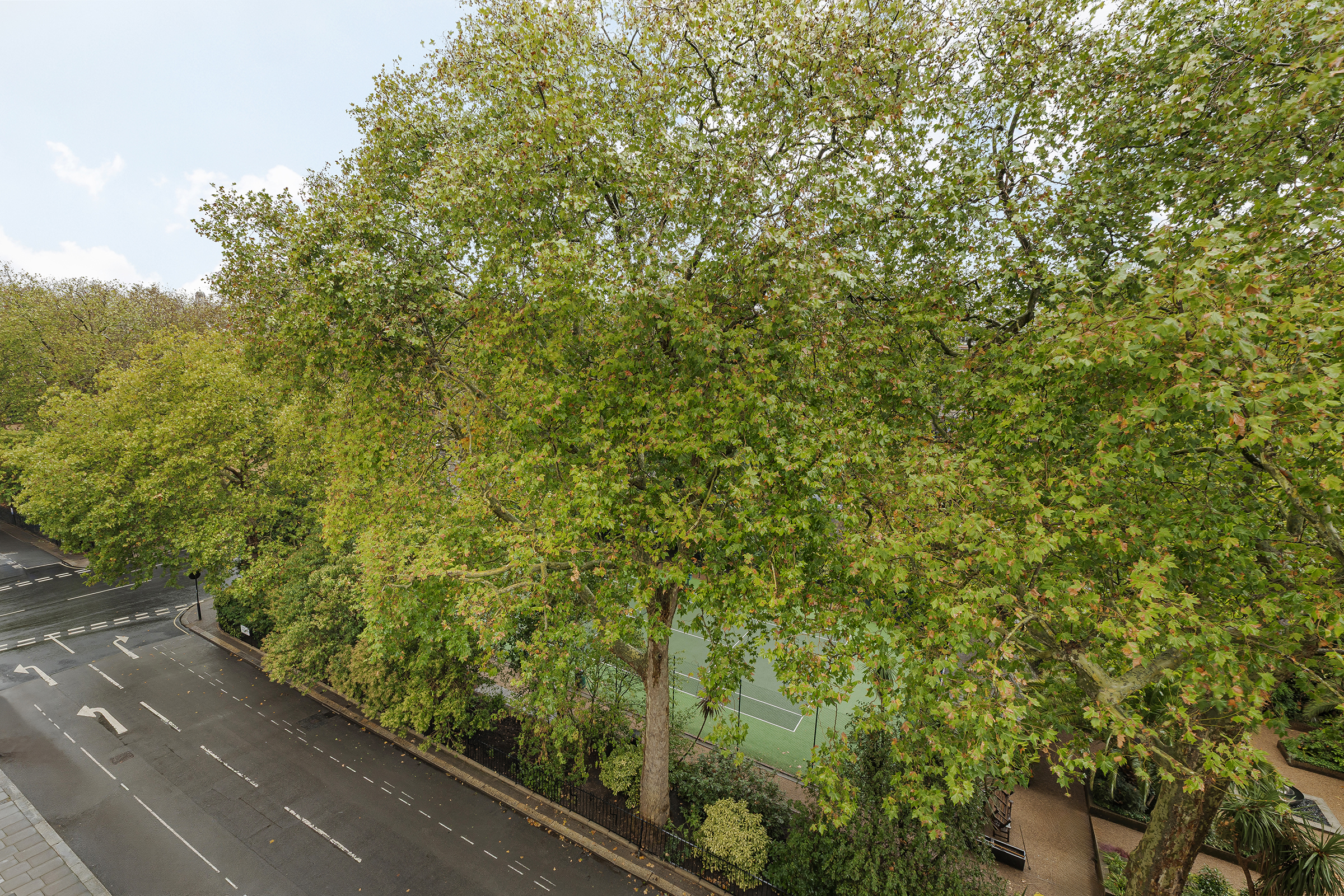  A Three-Bedroom Apartment on Eaton Square - 物件實景