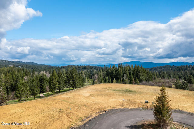 Coeur d'Alene, Idaho, 83814, United States, ,Residential,For Sale,1942579