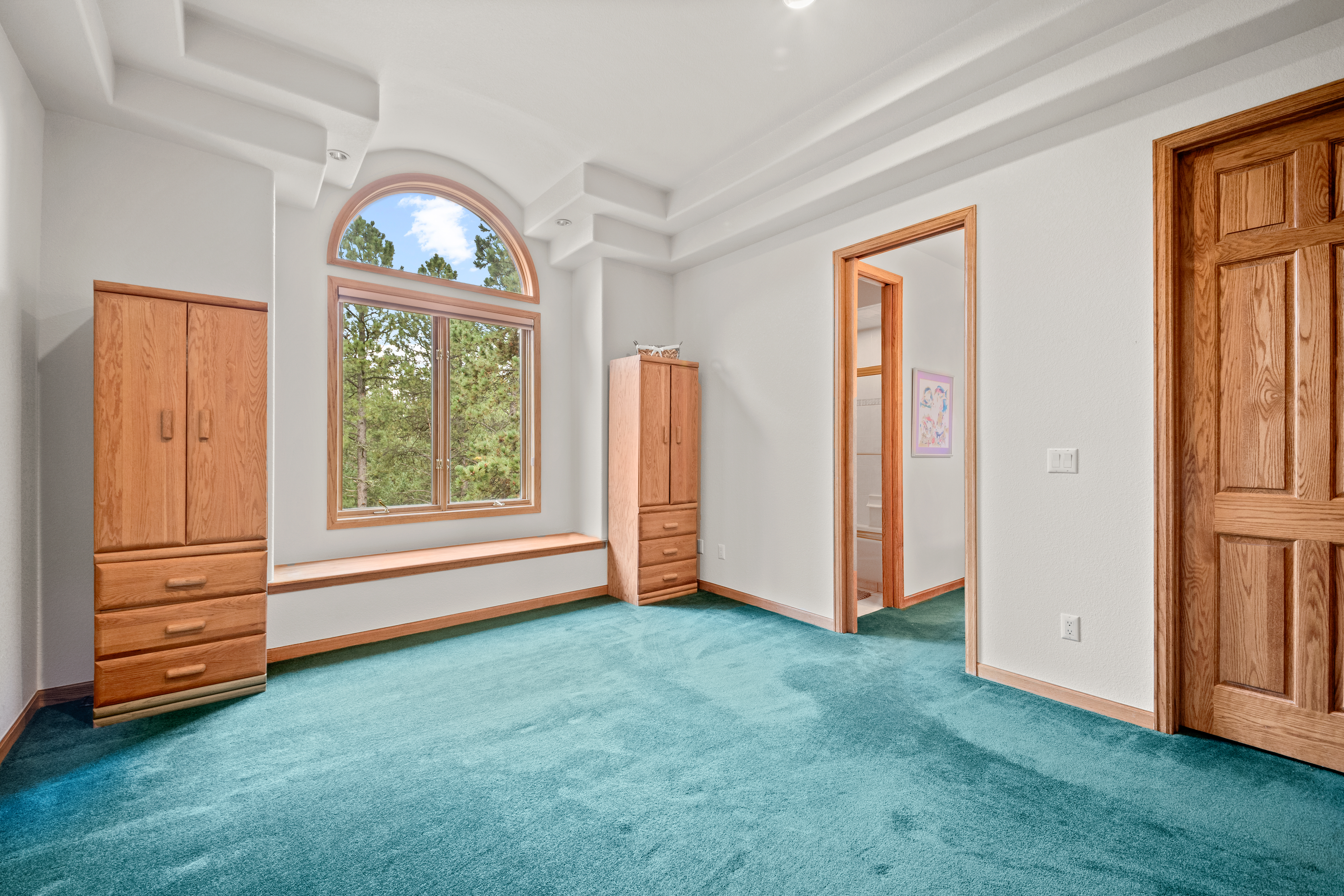  Perfect Blend of Space and Colorado Living That Backs to Pike National Forest - 物件實景