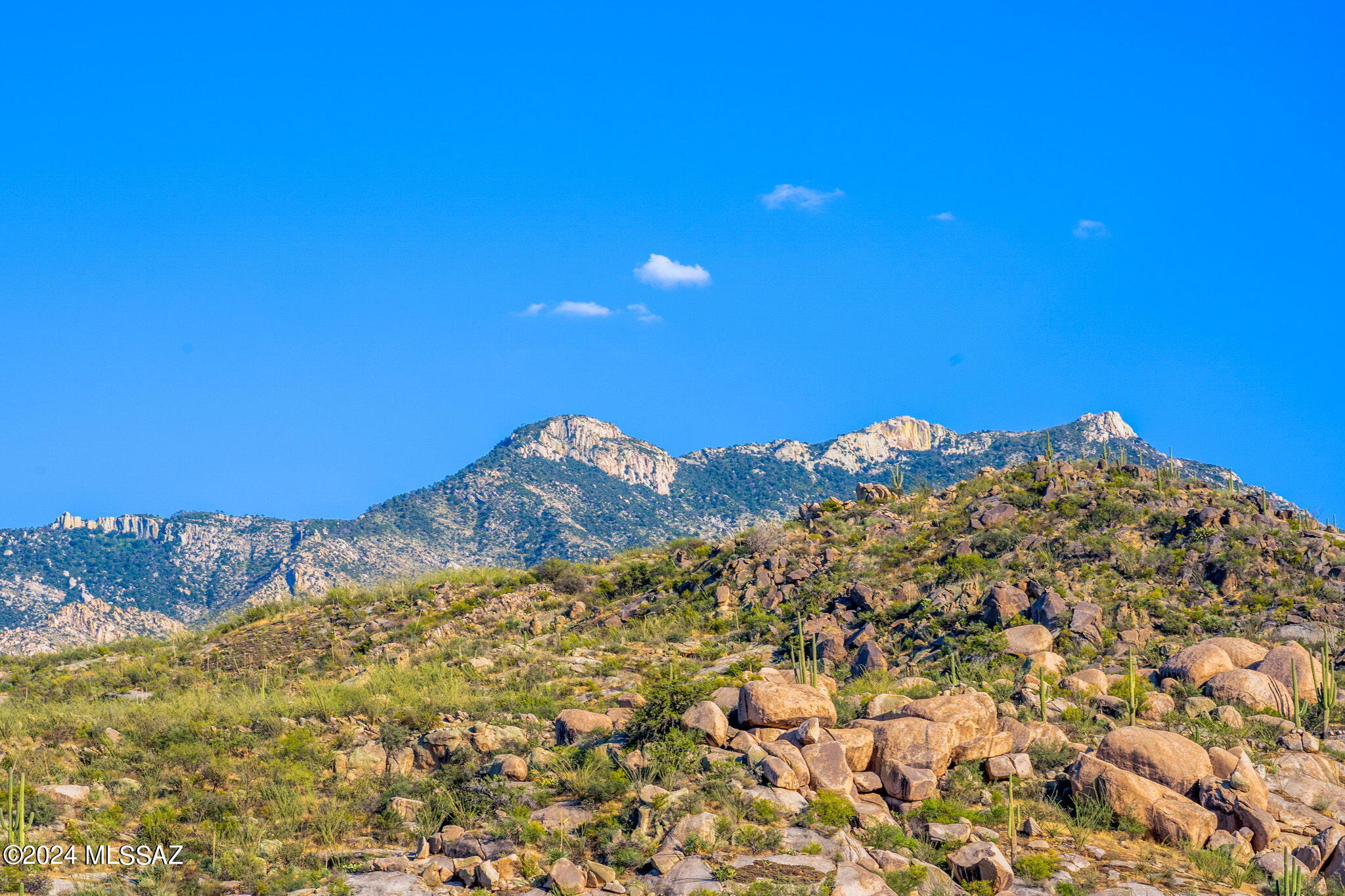 Tucson, Arizona, 85739, United States, ,Land,For Sale,1744993