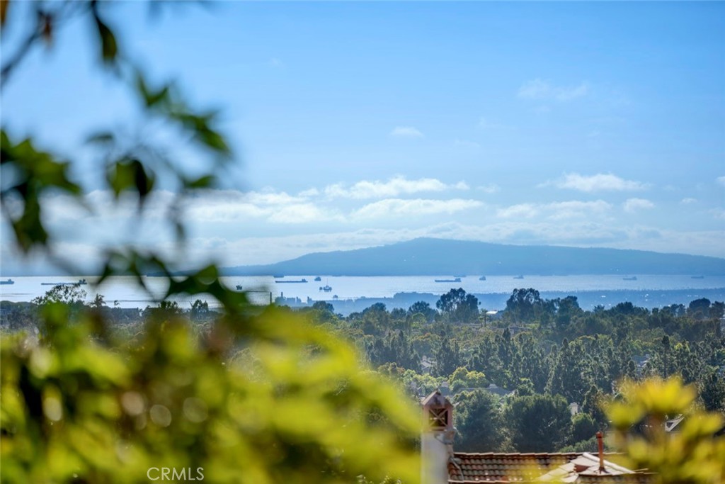 Newport Coast, California, 92657, United States, 5 Bedrooms Bedrooms, ,4 BathroomsBathrooms,Residential,For Sale,1991389