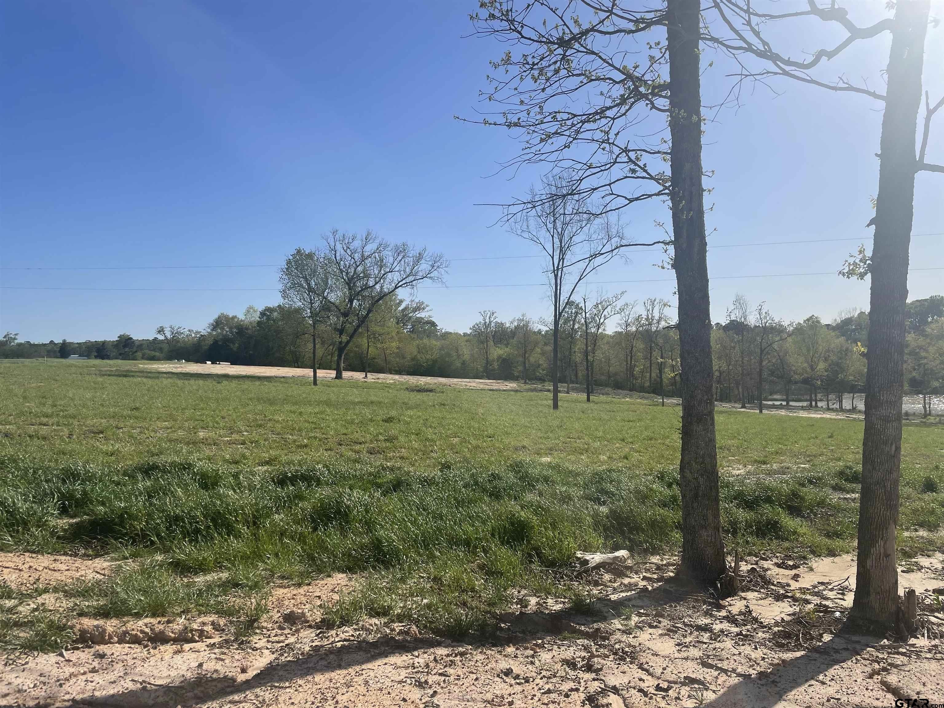 1666 CR 2332, Pittsburg, Texas, 75686, United States, ,Residential,For Sale,1666 CR 2332,1411949
