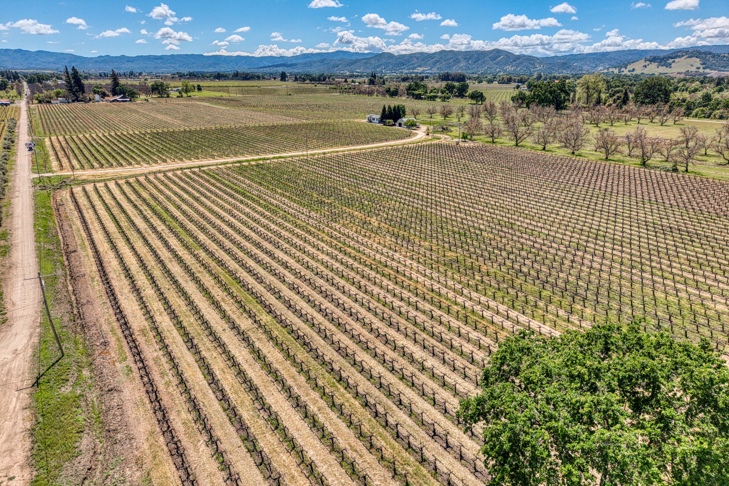  Lake County: The Place to Be - 物件實景