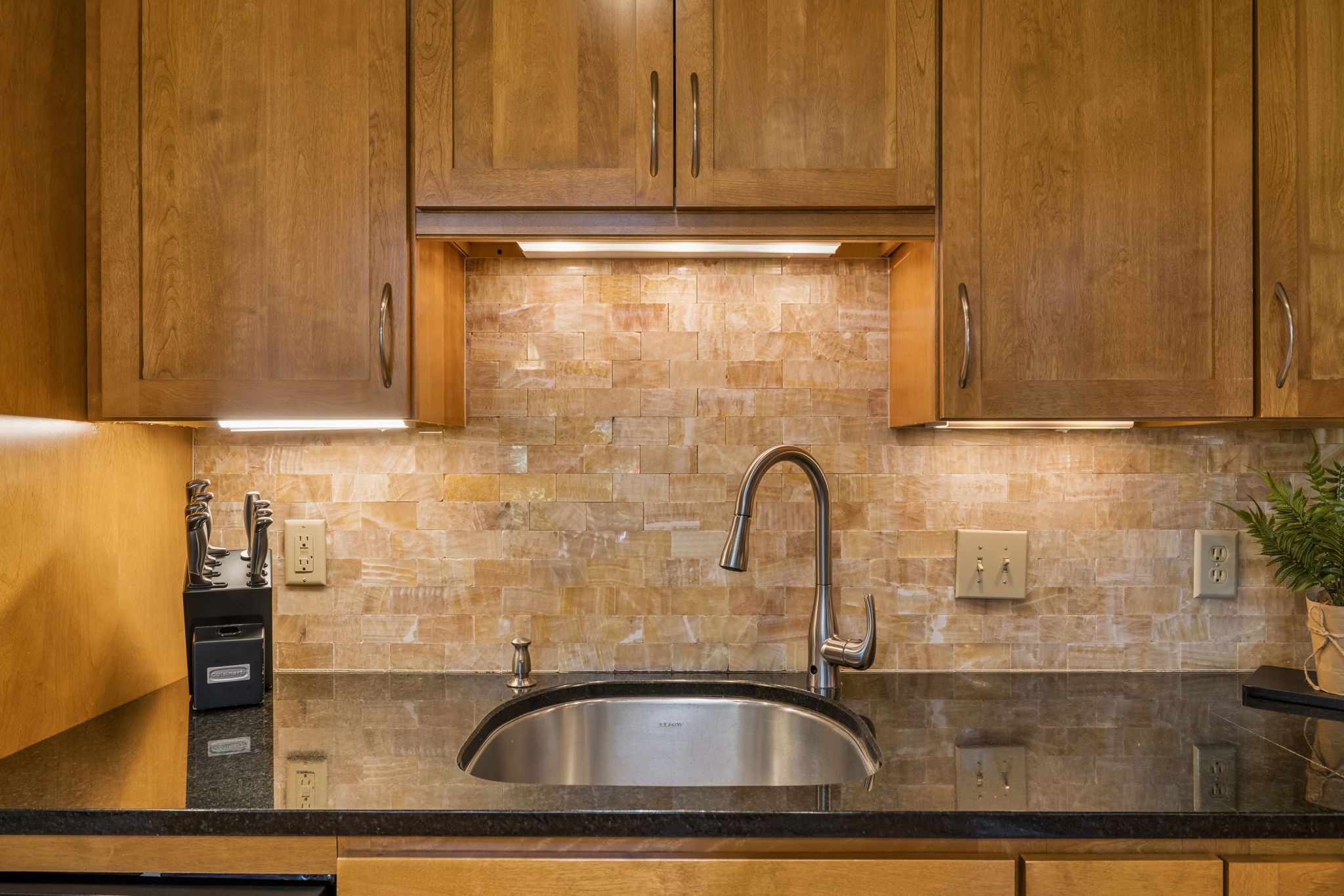  227 Hearthstone Manor Lane, Brentwood, TN 37027 - 物件實景