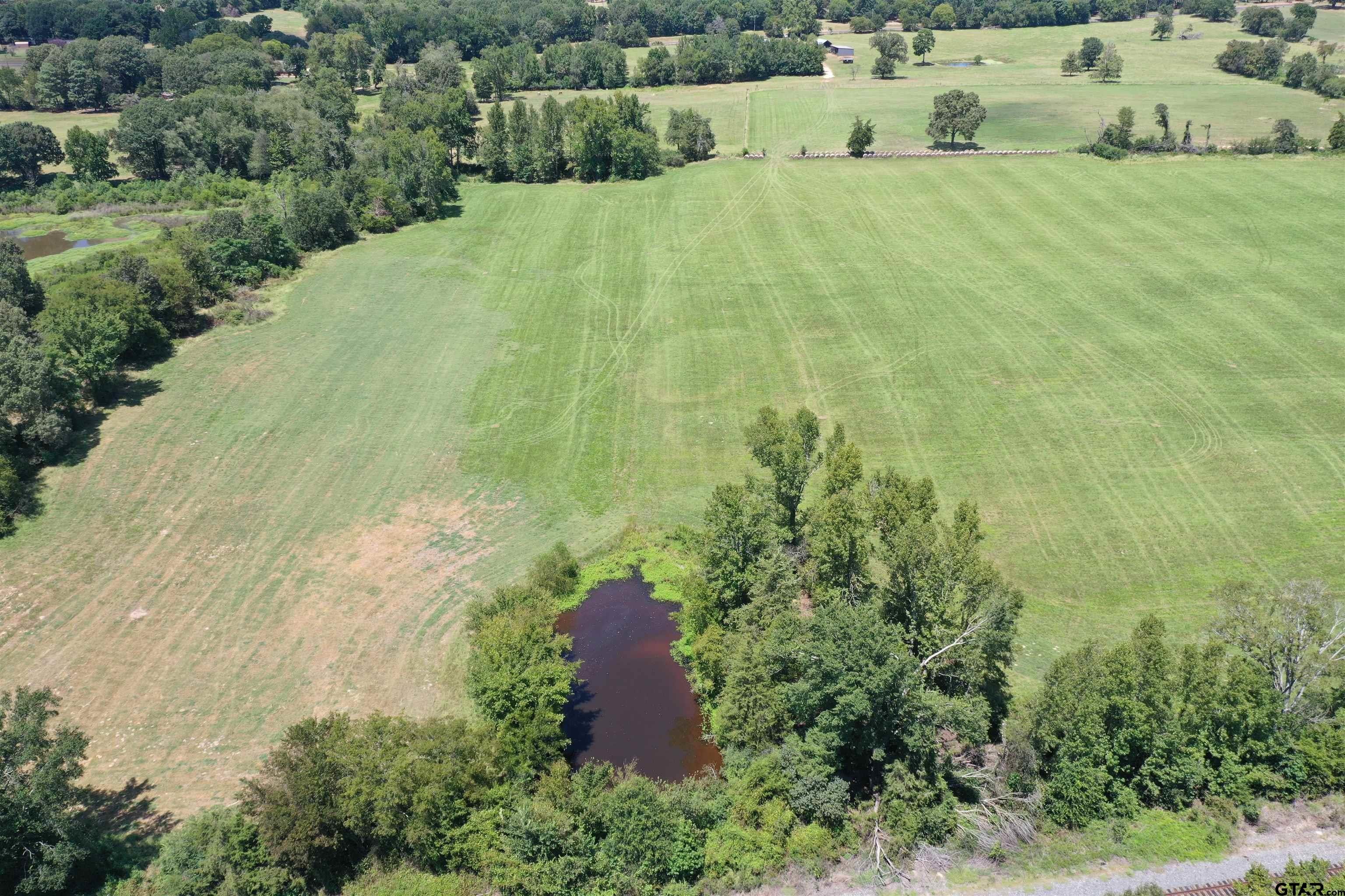 Pittsburg, Texas, 75686, United States, ,Land,For Sale,1978777