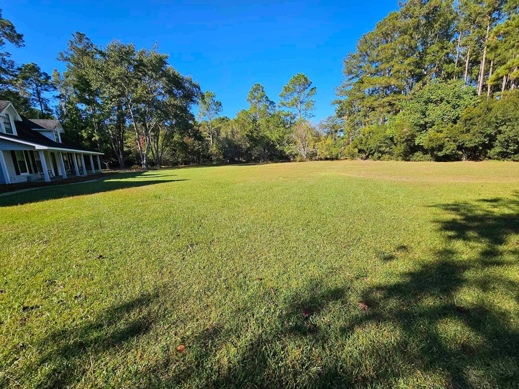 5278 NE Elim Church Road Ne Road, Ludowici, Georgia, 31316, United States, 3 Bedrooms Bedrooms, ,2 BathroomsBathrooms,Residential,For Sale,5278 NE Elim Church Road Ne Road,1437237