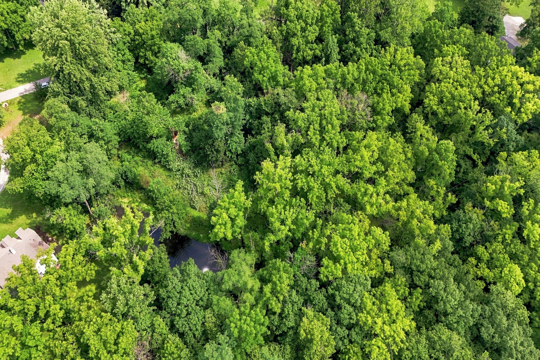 Beautiful Wooded .88 Acre Lot Ready for Your Vision - 物件實景
