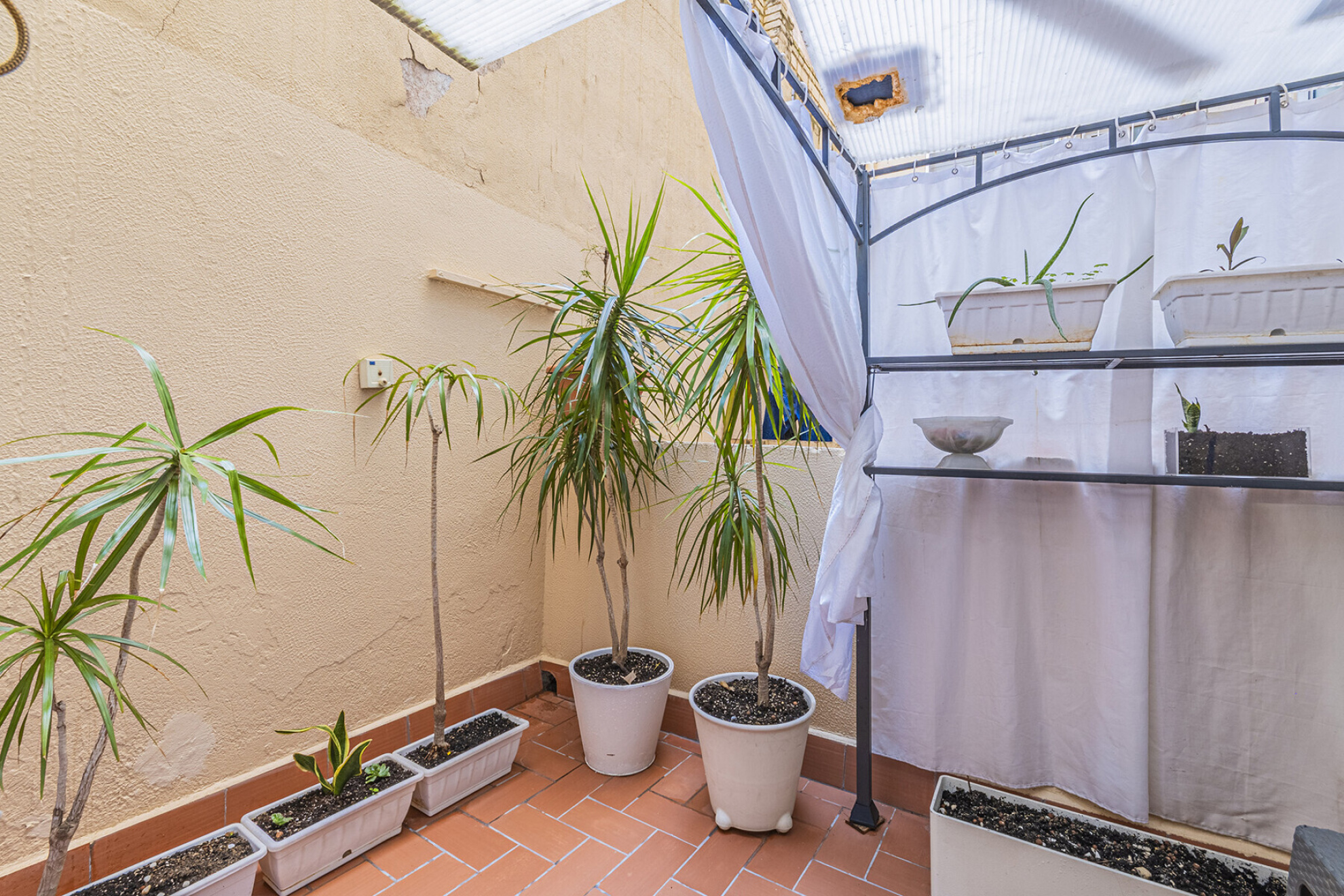  Apartment to renovate in Sant Antoni - 物件實景