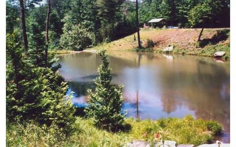 Cherry Log, Georgia, 30522, United States, ,Land,For Sale,1858995