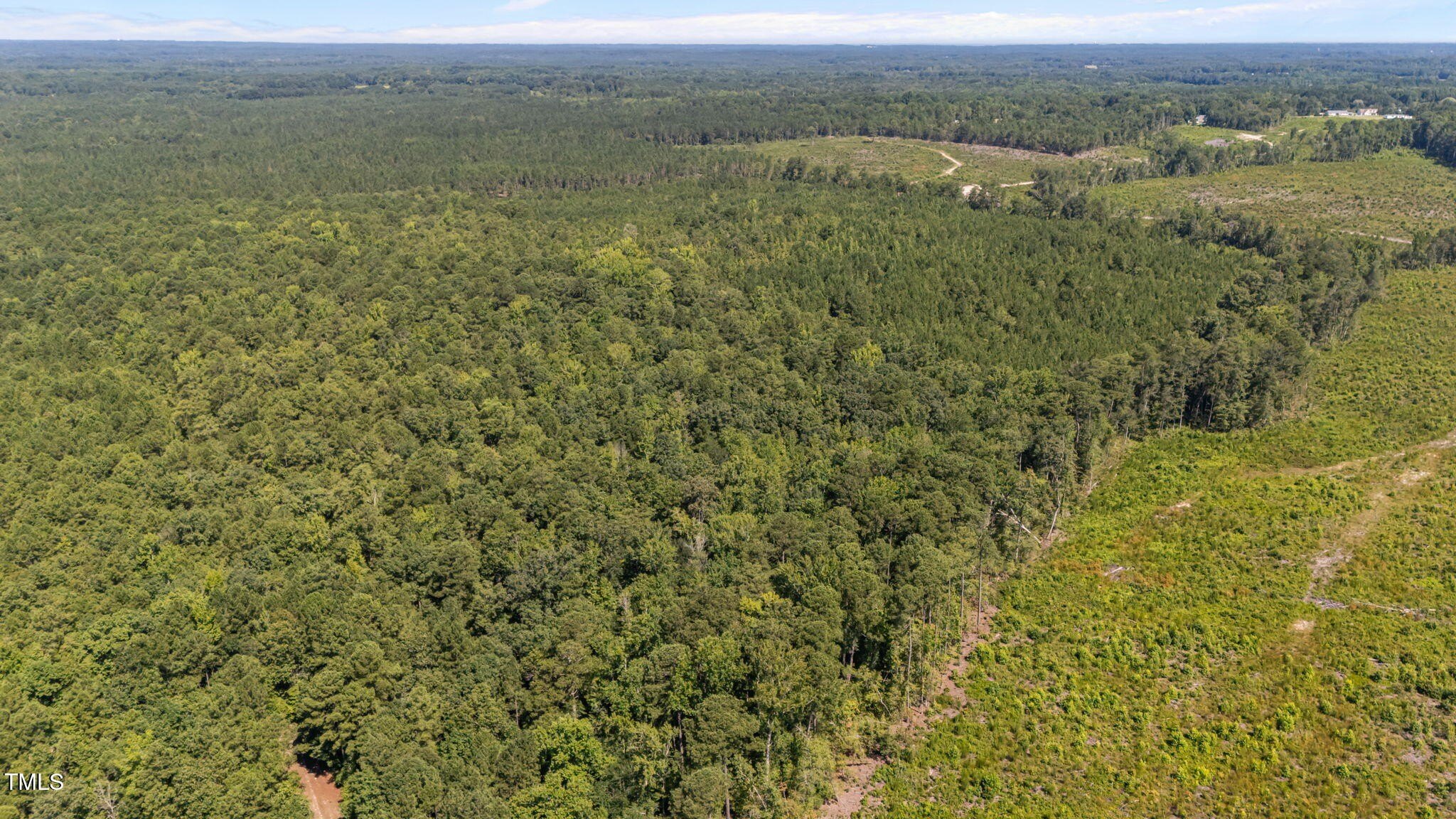 Cameron, North Carolina, 28326, United States, ,Land,For Sale,1980450