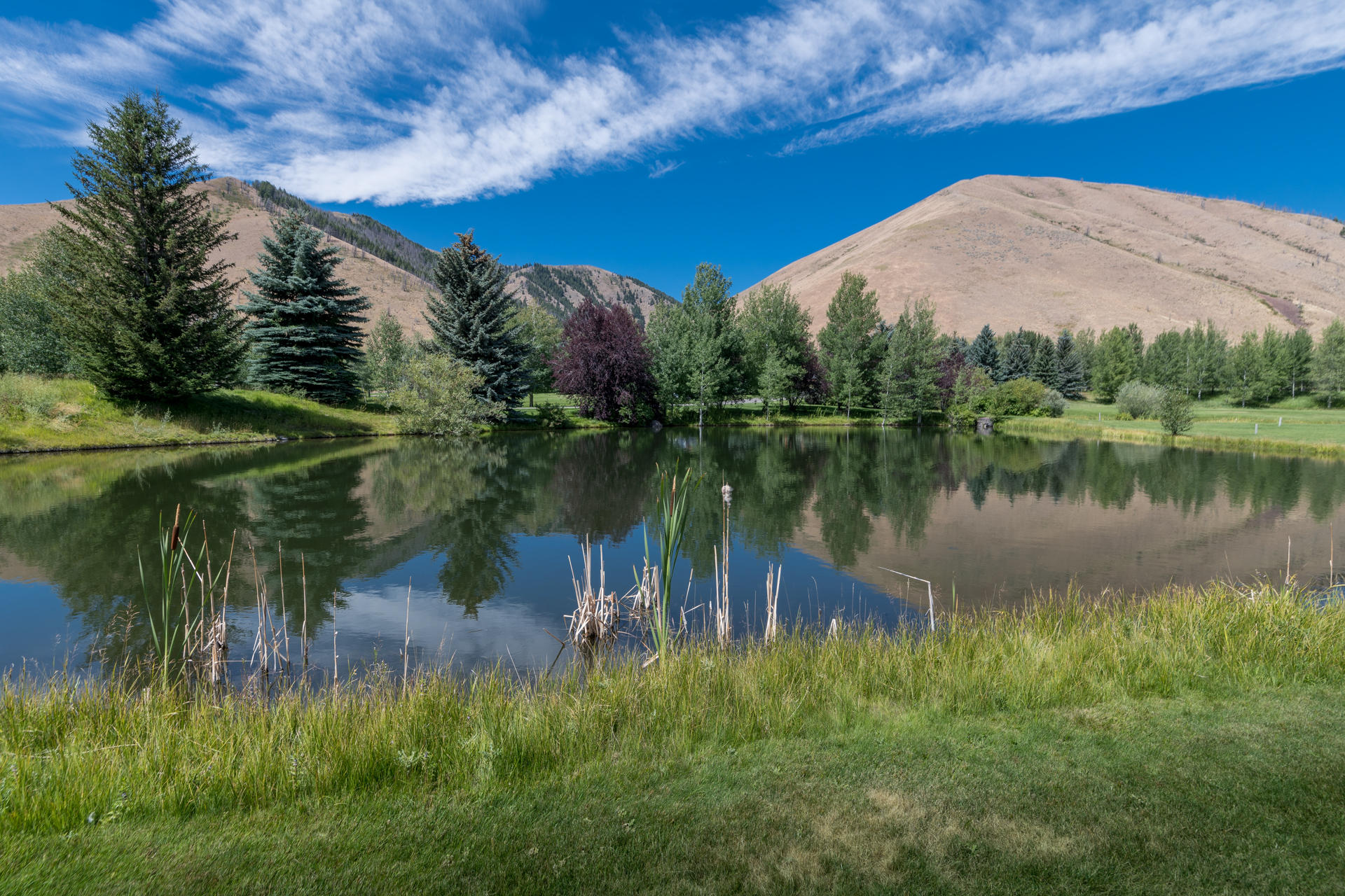 Blaine County, Idaho, 83333, United States, ,Land,For Sale,1794609