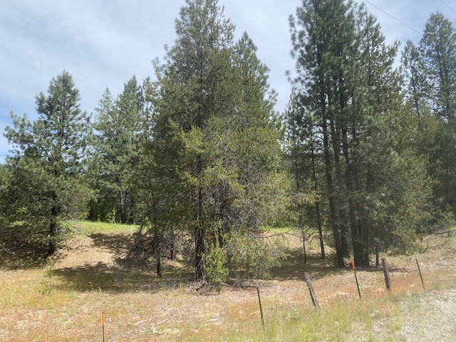 Priest River, Idaho, 83856, United States, ,Land,For Sale,2006127