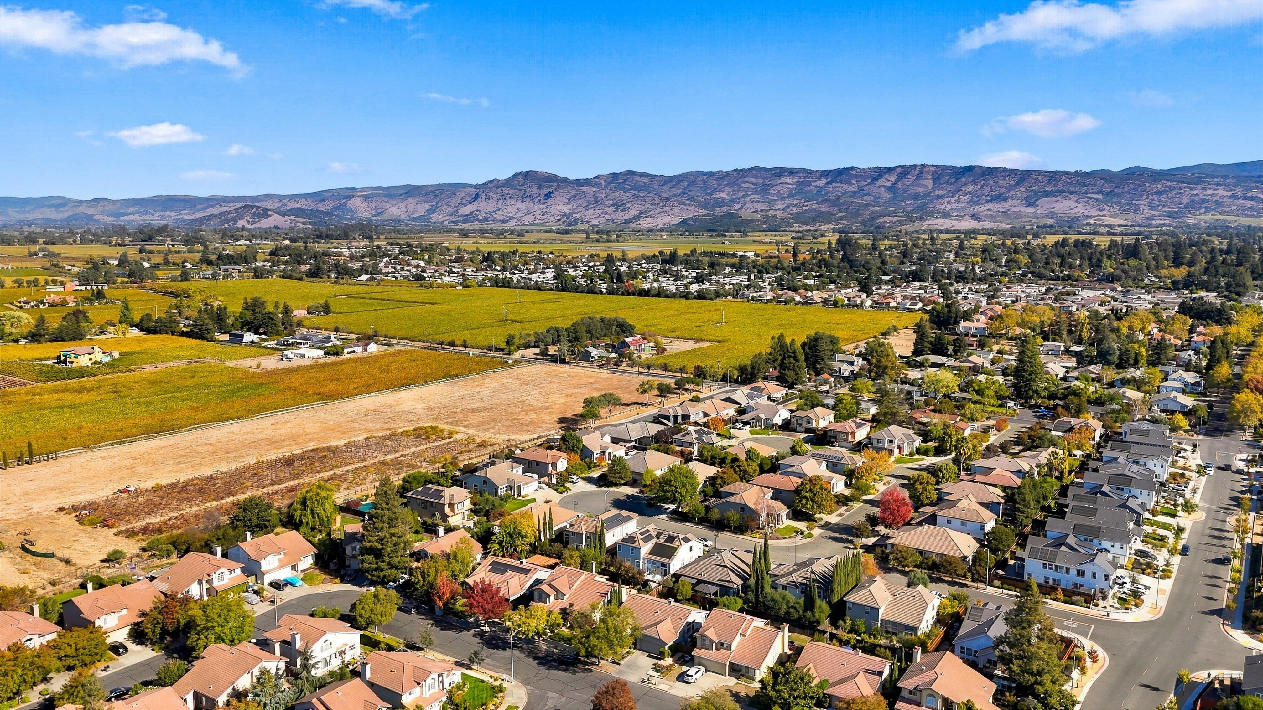  Discover the Best of North Napa Living in Dry Creek Village - 物件實景