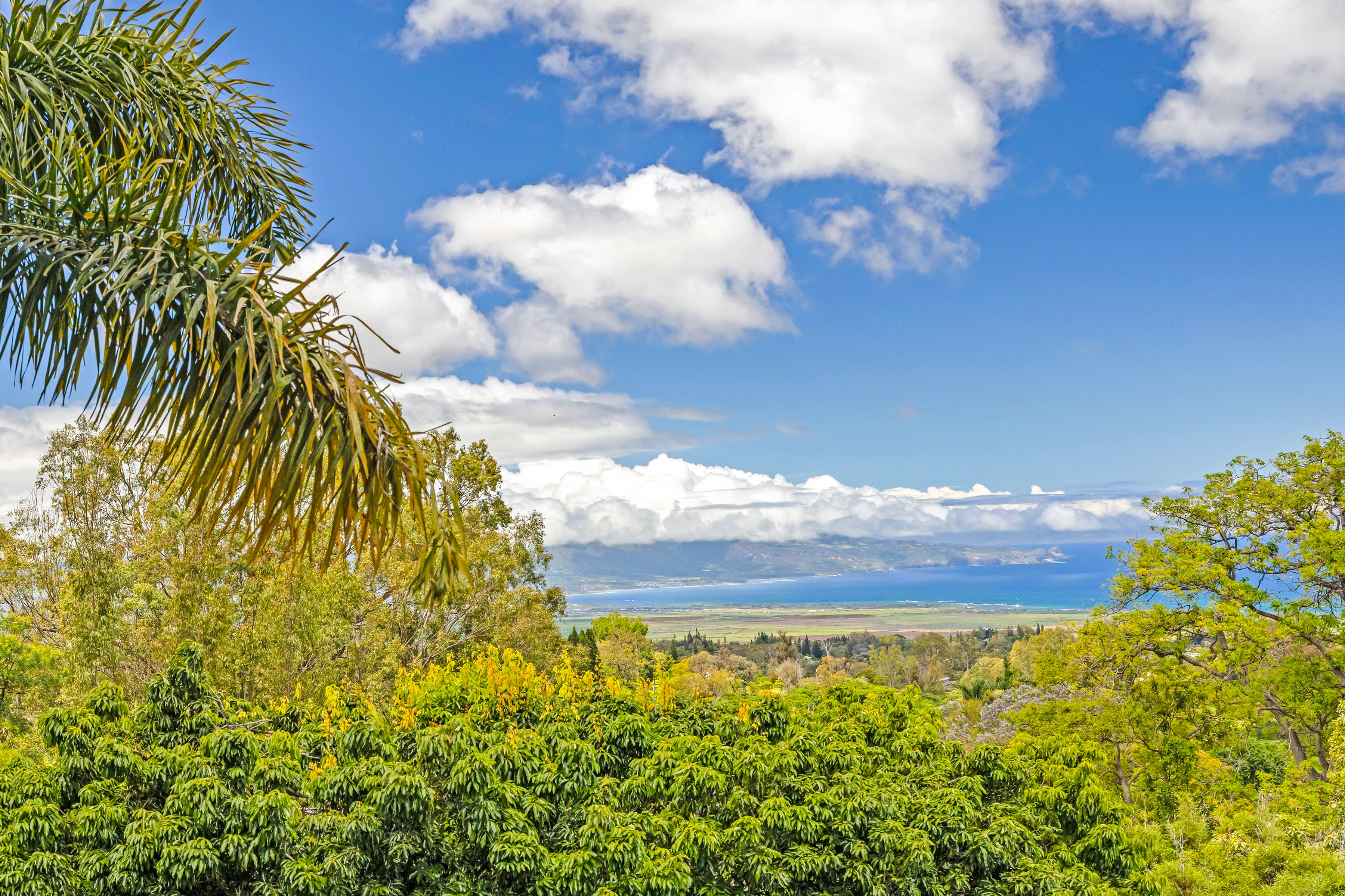  Sweet Lower Olinda Plantation Charm, pool, hot tub on 2 Acres - 物件實景