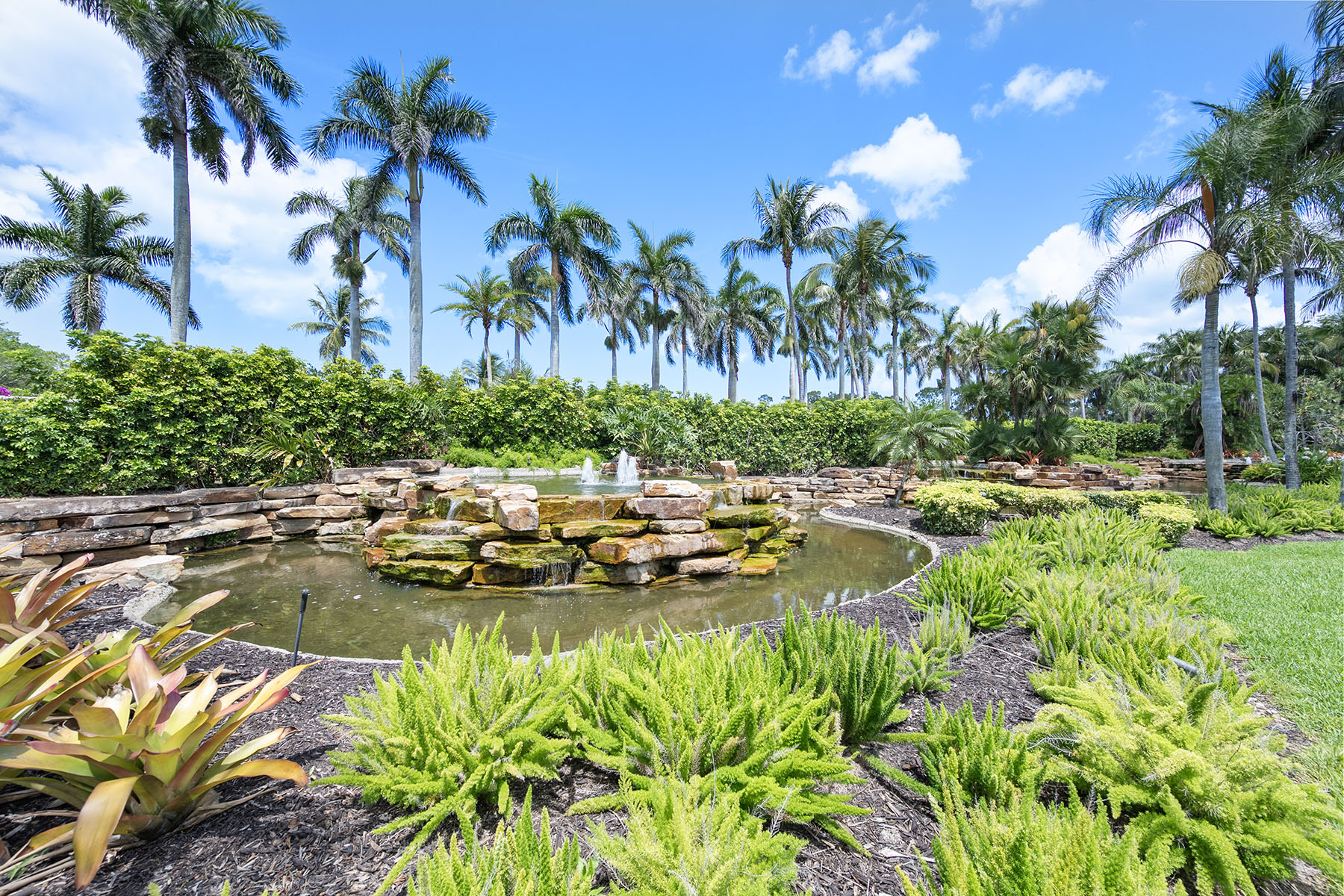  TIBURON - NORMAN ESTATES - 物件實景