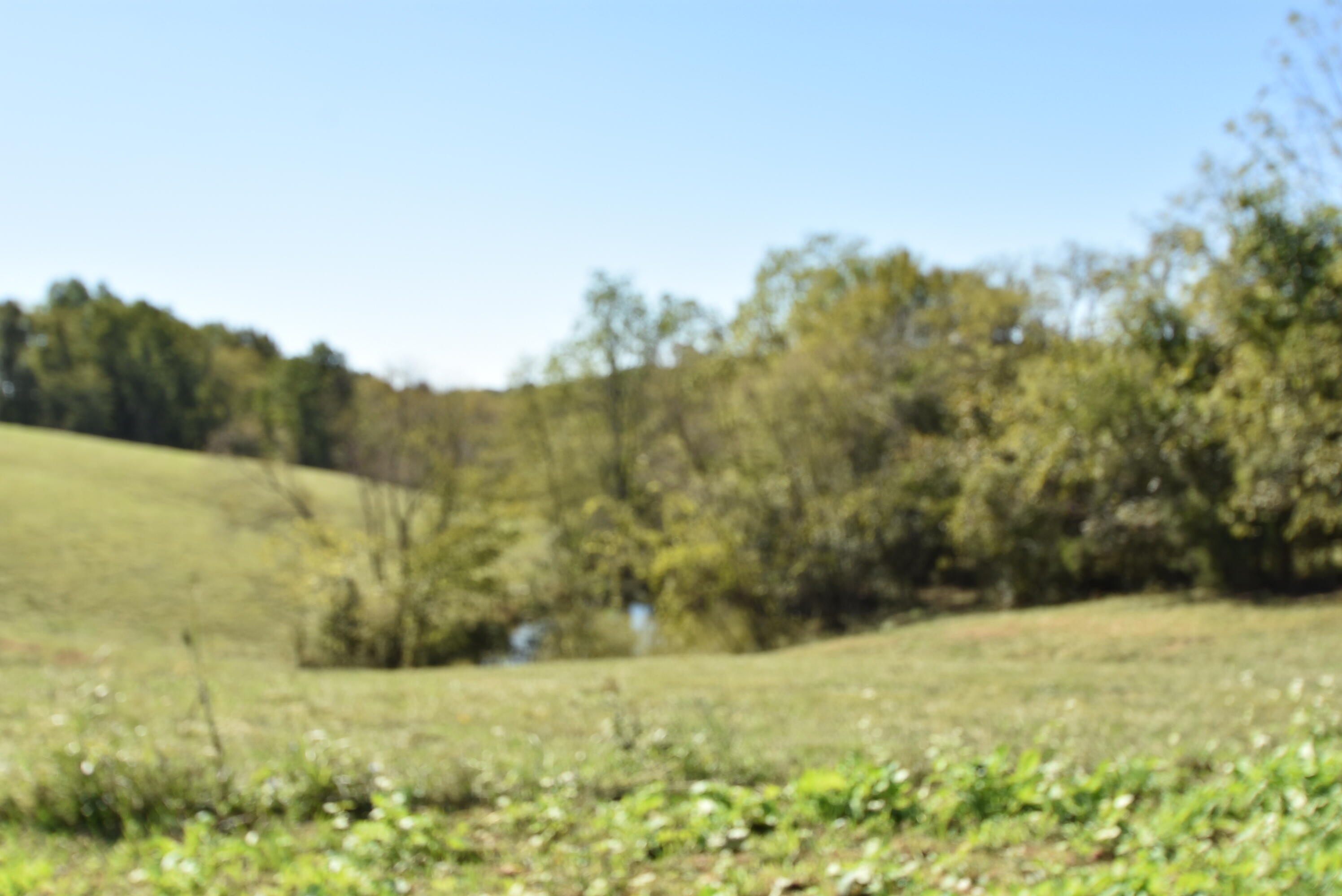 Willisburg, Kentucky, 40078, United States, 4 Bedrooms Bedrooms, ,1 BathroomBathrooms,Residential,For Sale,1962831