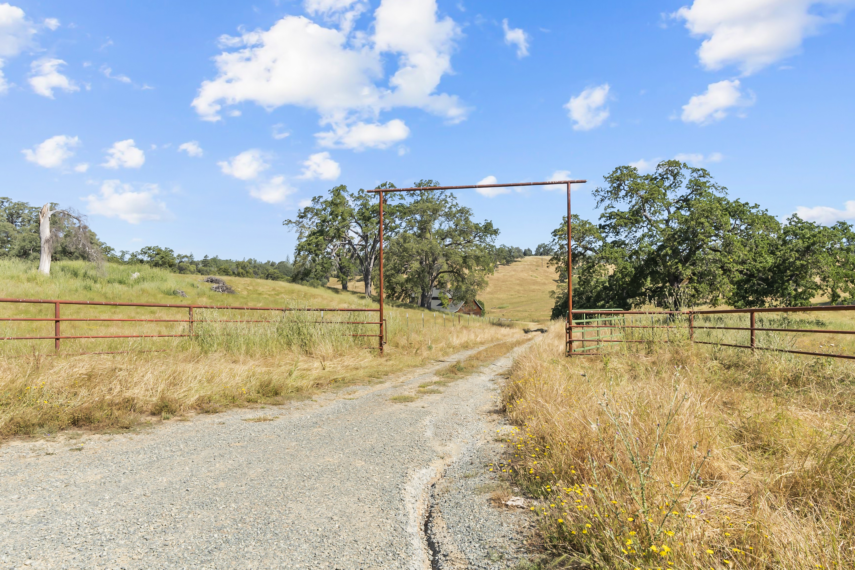  Amoruso Ranch 1000+ Acres Legacy - 物件實景