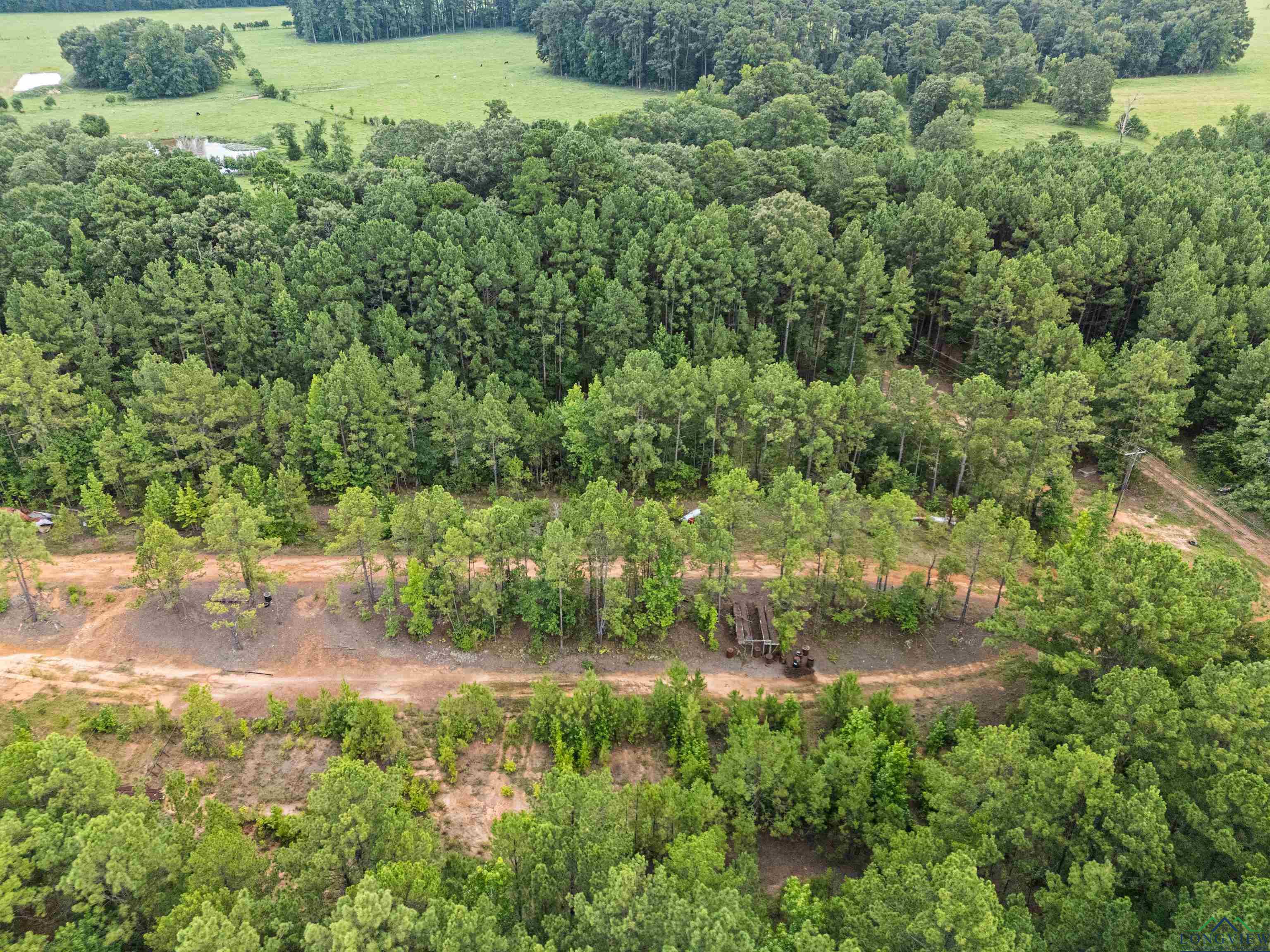 Jefferson, Texas, 75657, United States, ,Land,For Sale,1890245