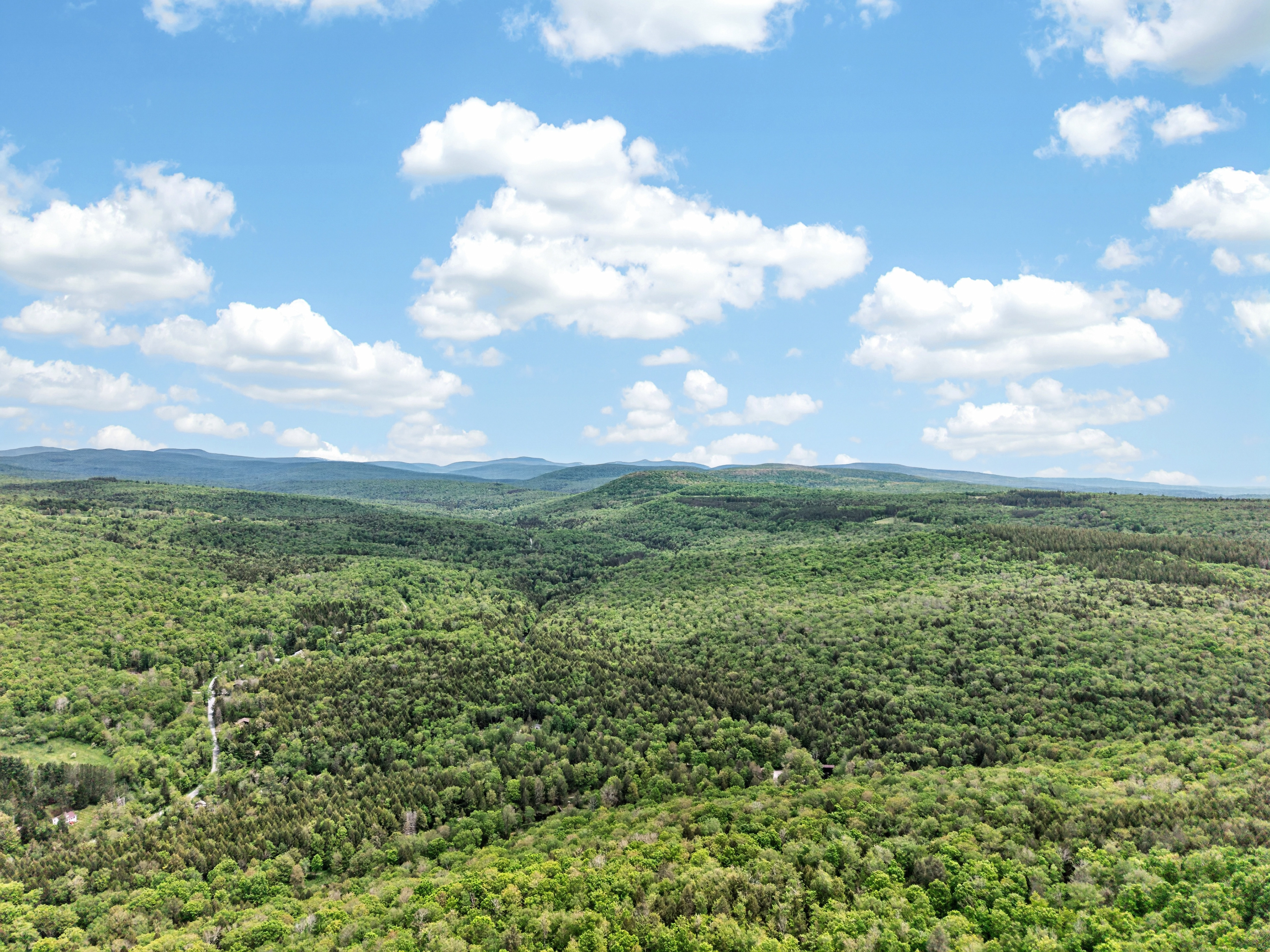  81 N Pond Drive, Livingston Manor, NY, 12758 - 物件實景