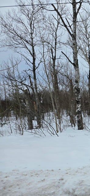 Sault Ste Marie, Michigan, 49783, United States, ,Land,For Sale,1977919