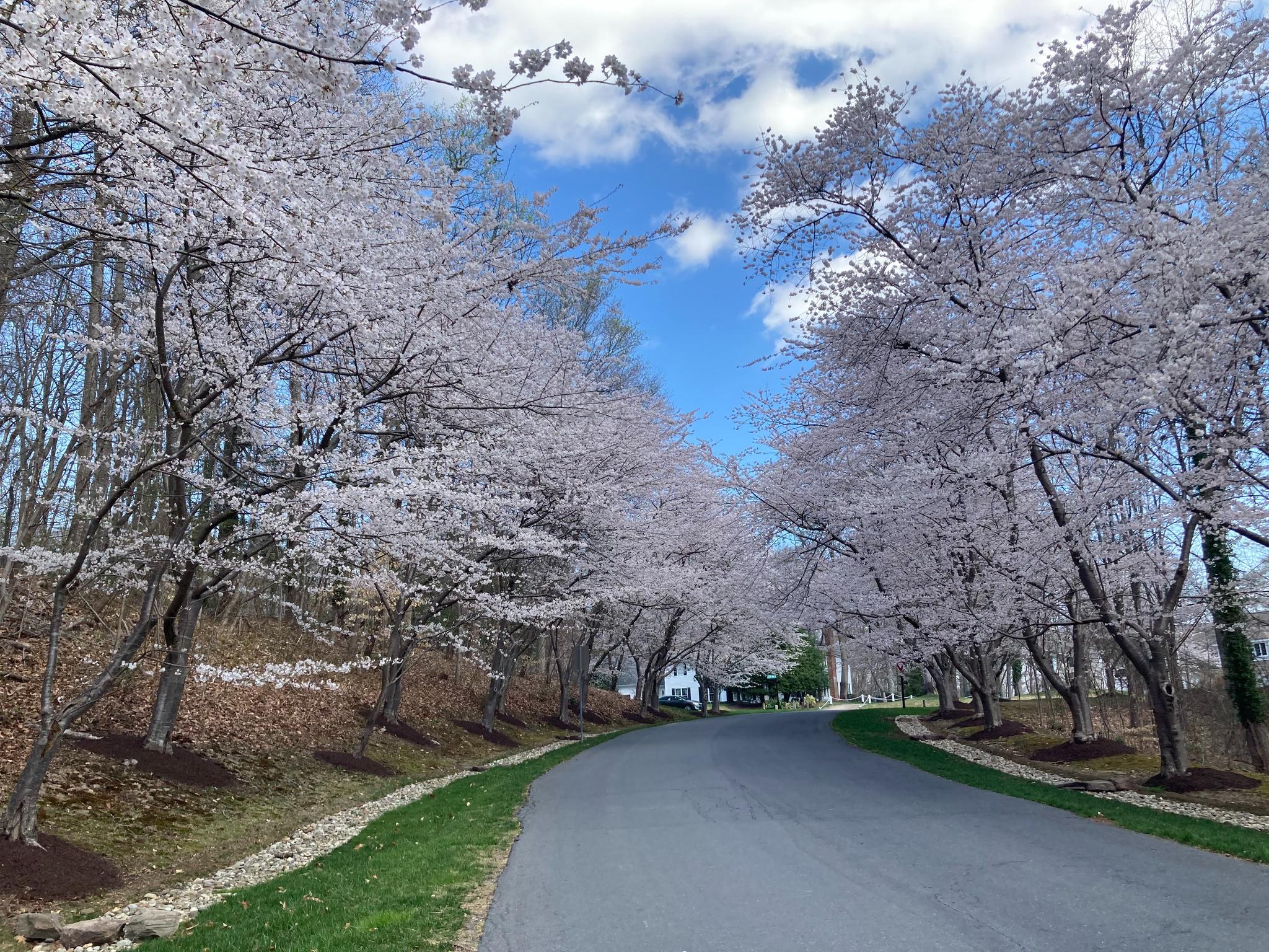  1603 Upton Scott Way, Crownsville, MD, 21032 - 物件實景