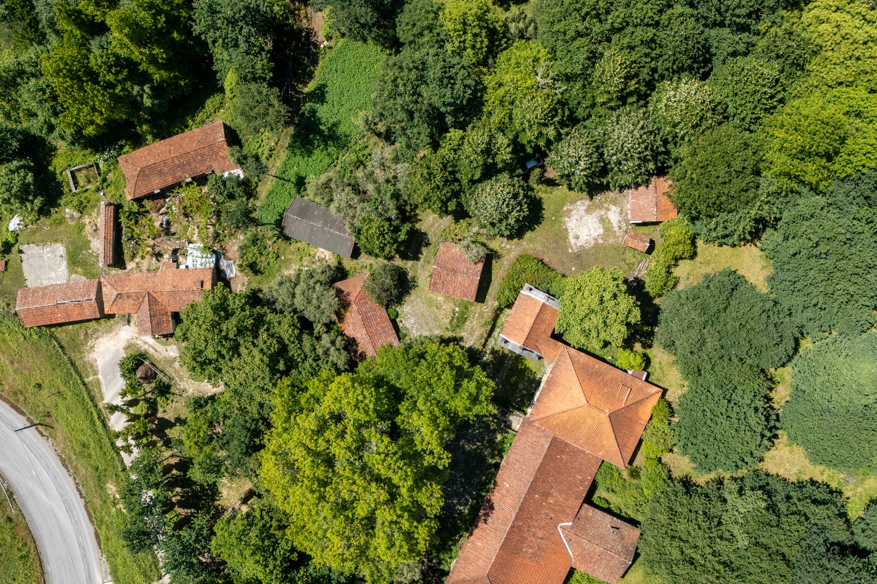  Farm for Sale - 物件實景