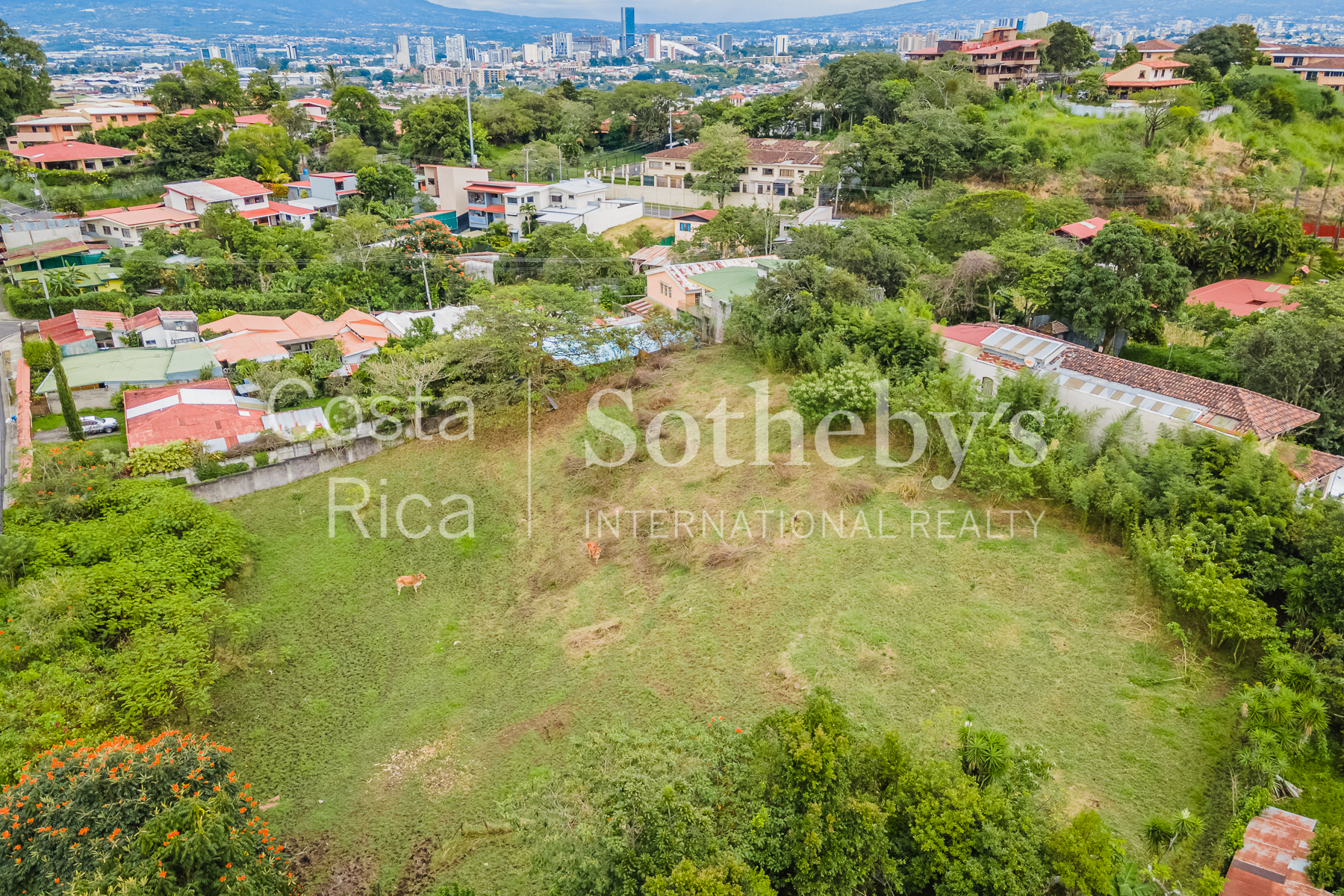  Land in San Rafael Escazú - 物件實景