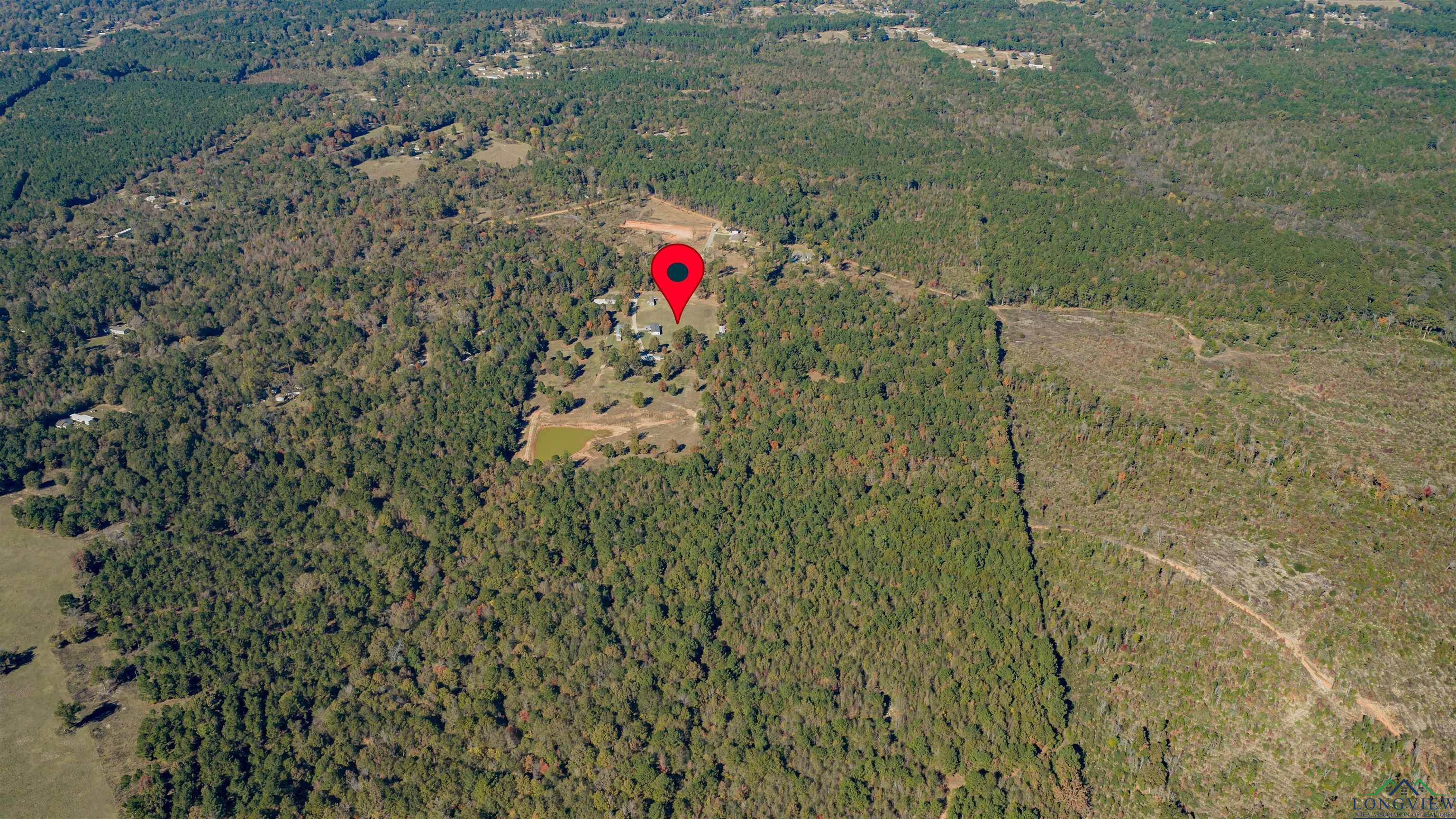 Diana, Texas, 75640, United States, ,Residential,For Sale,1993396