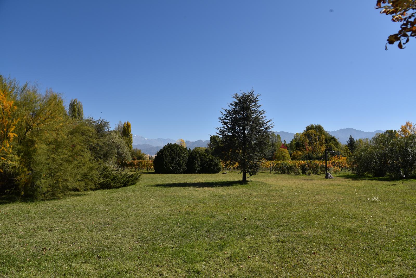 Lujan De Cuyo, AR-M, AR, 5 Bedrooms Bedrooms, ,8 BathroomsBathrooms,Residential,For Sale,1999071