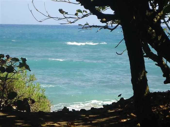 Cabarete, DO, ,Land,For Sale,927965