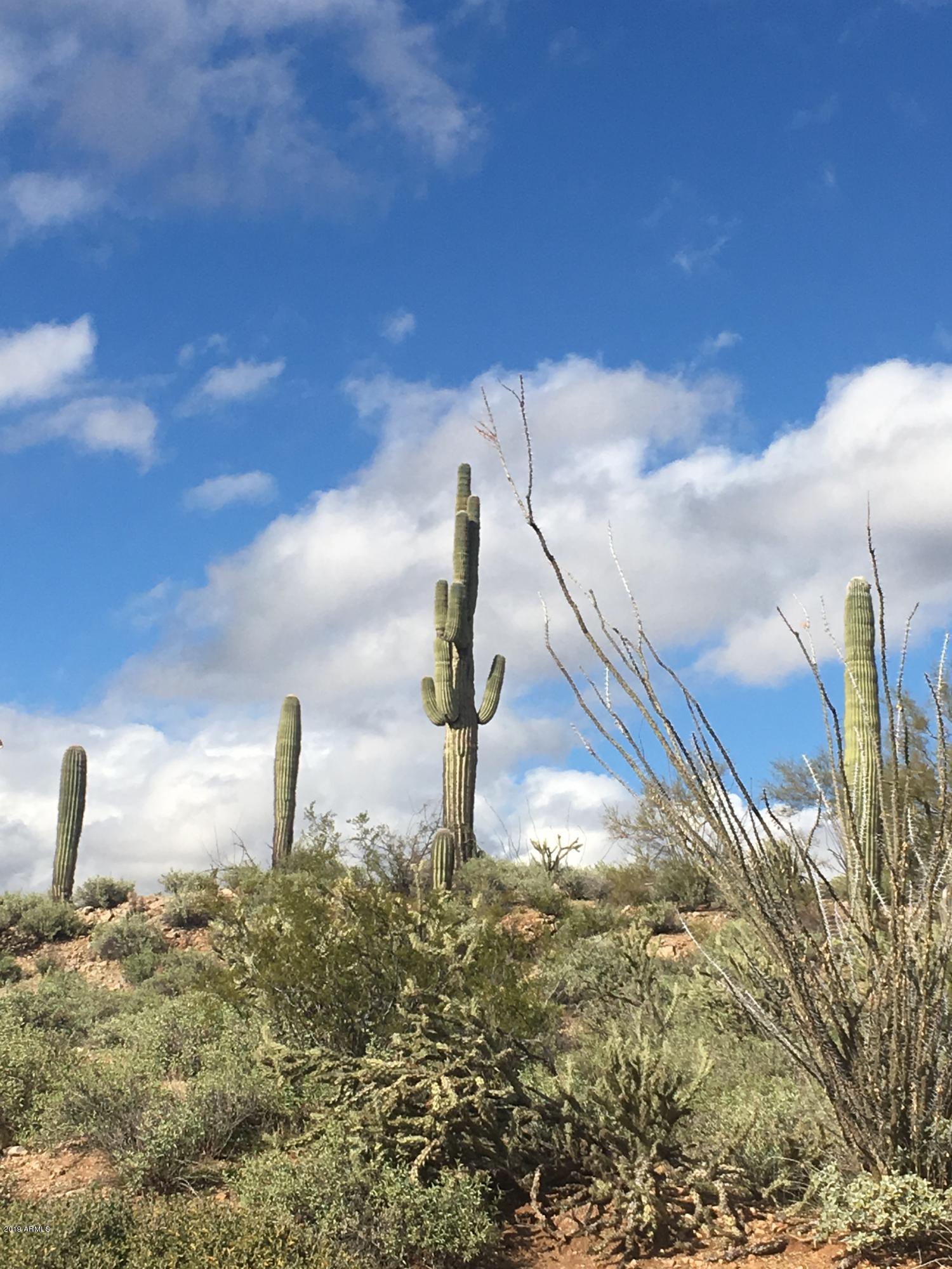 Wickenburg, Arizona, 85390, United States, ,Residential,For Sale,1710886