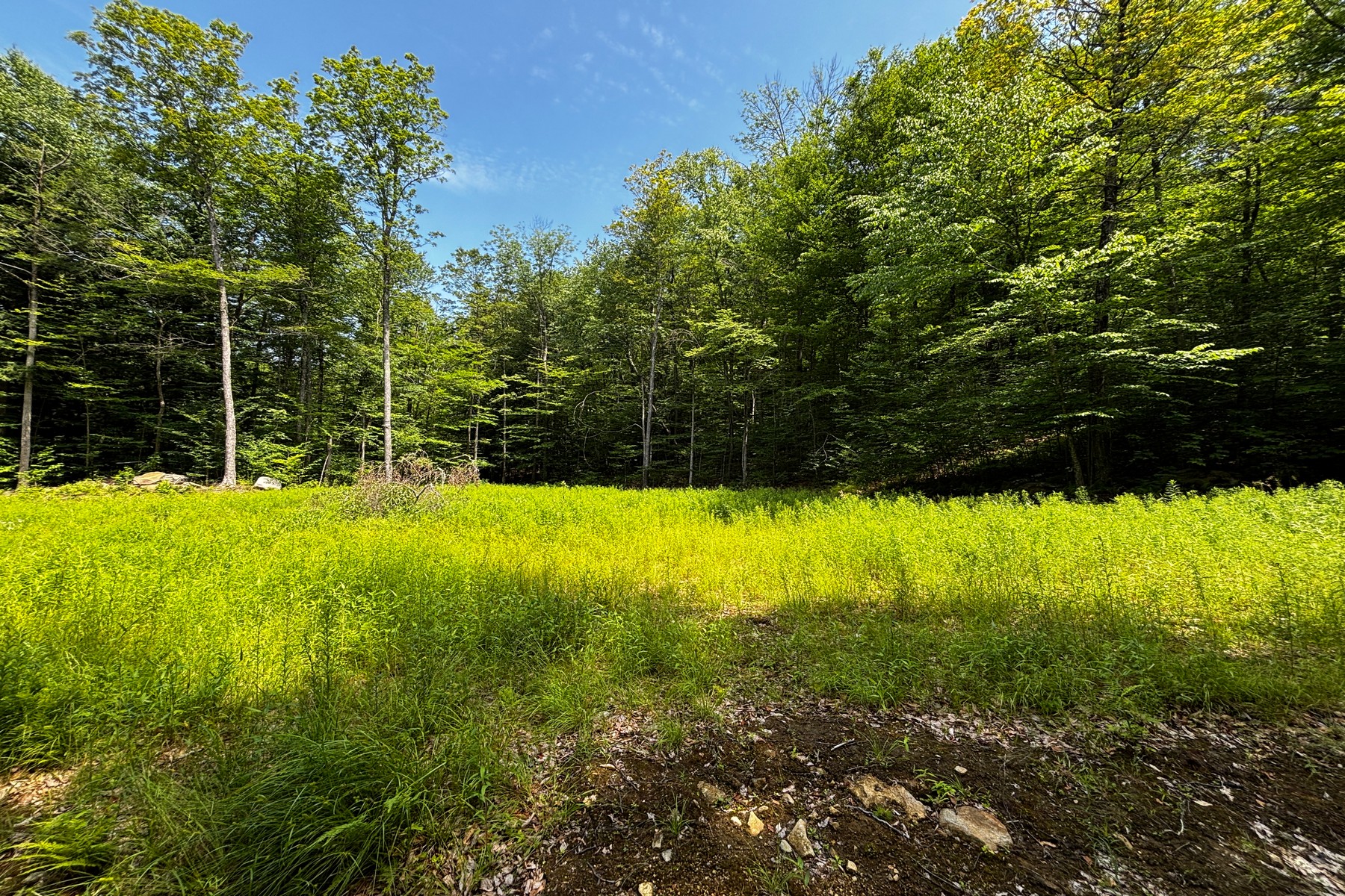  27 acres with close to Chester Village and Skiing - 物件實景