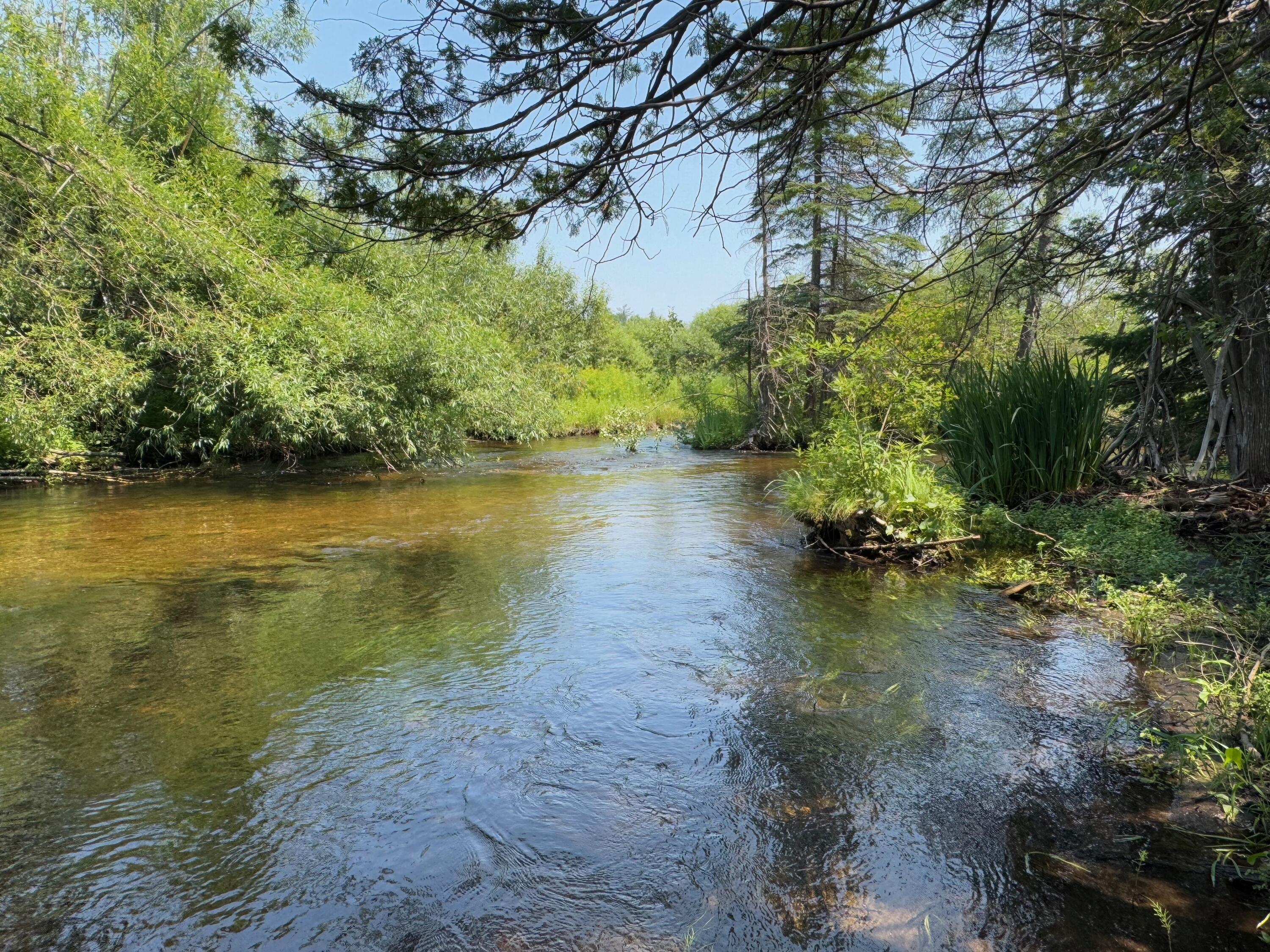 Wolverine, Michigan, 49799, United States, 2 Bedrooms Bedrooms, ,2 BathroomsBathrooms,Residential,For Sale,1885505