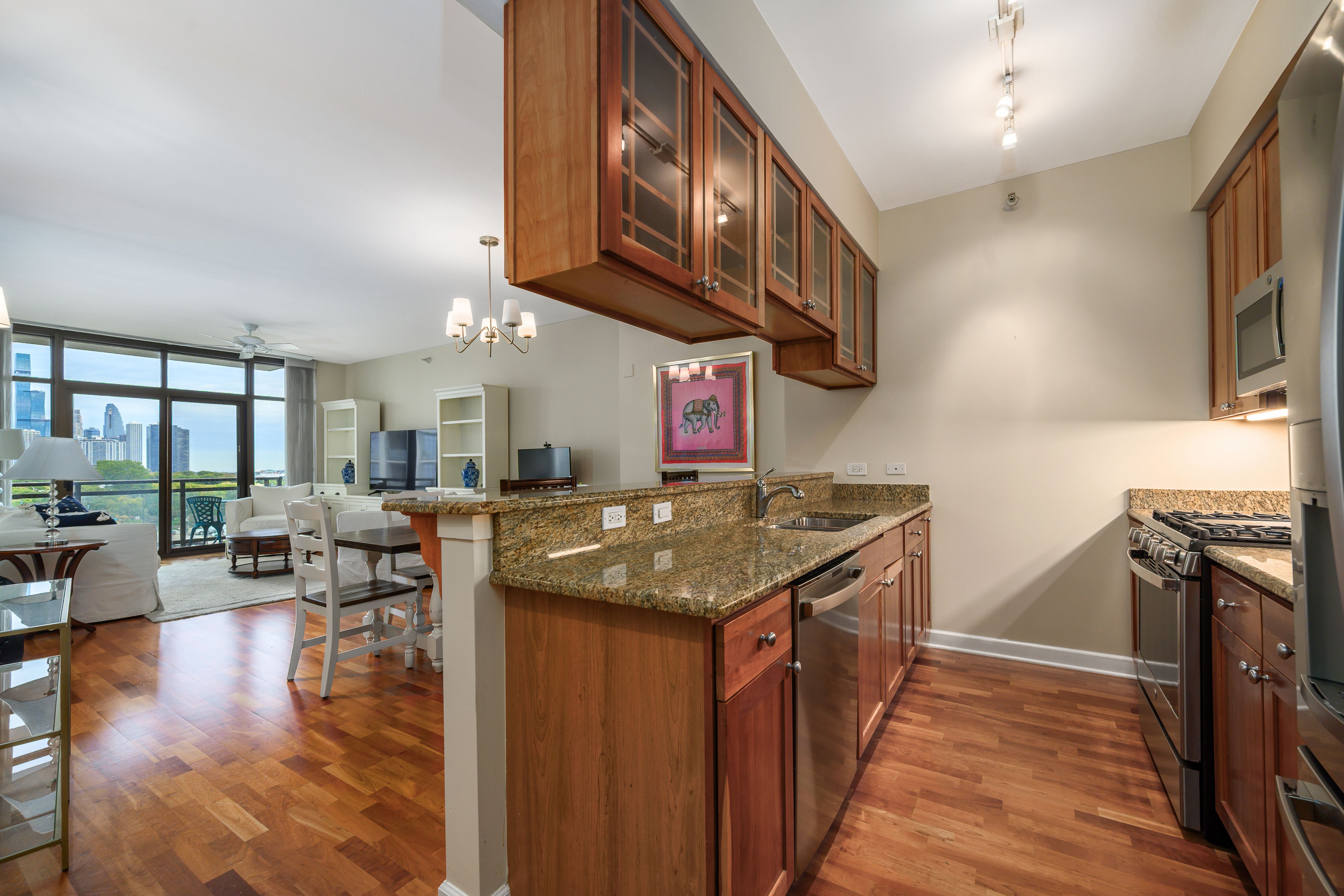  Wonderful One Bedroom Condo in South Loop