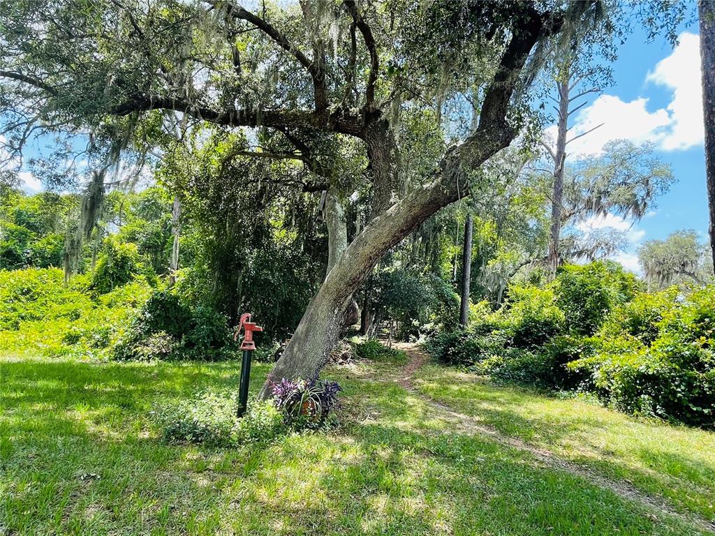 460 CLARK HILL ROAD, OSTEEN, Florida, 32764, United States, 4 Bedrooms Bedrooms, ,3 BathroomsBathrooms,Residential,For Sale,460 CLARK HILL ROAD,1445755