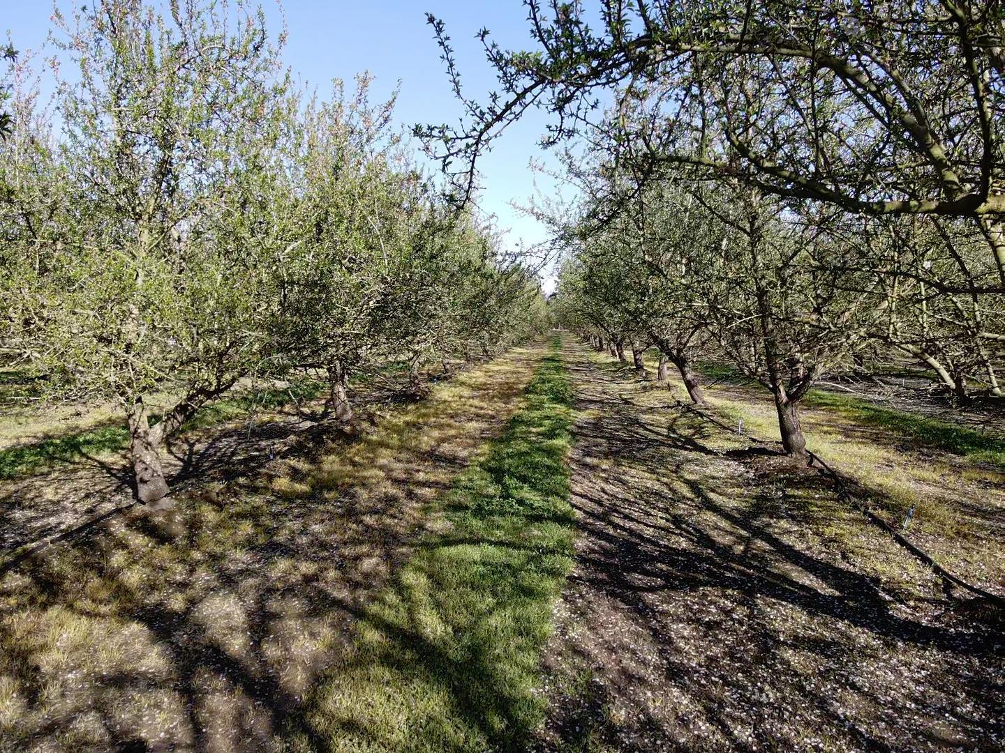 Turlock, California, 95380, United States, 3 Bedrooms Bedrooms, ,4 BathroomsBathrooms,Residential,For Sale,1993882