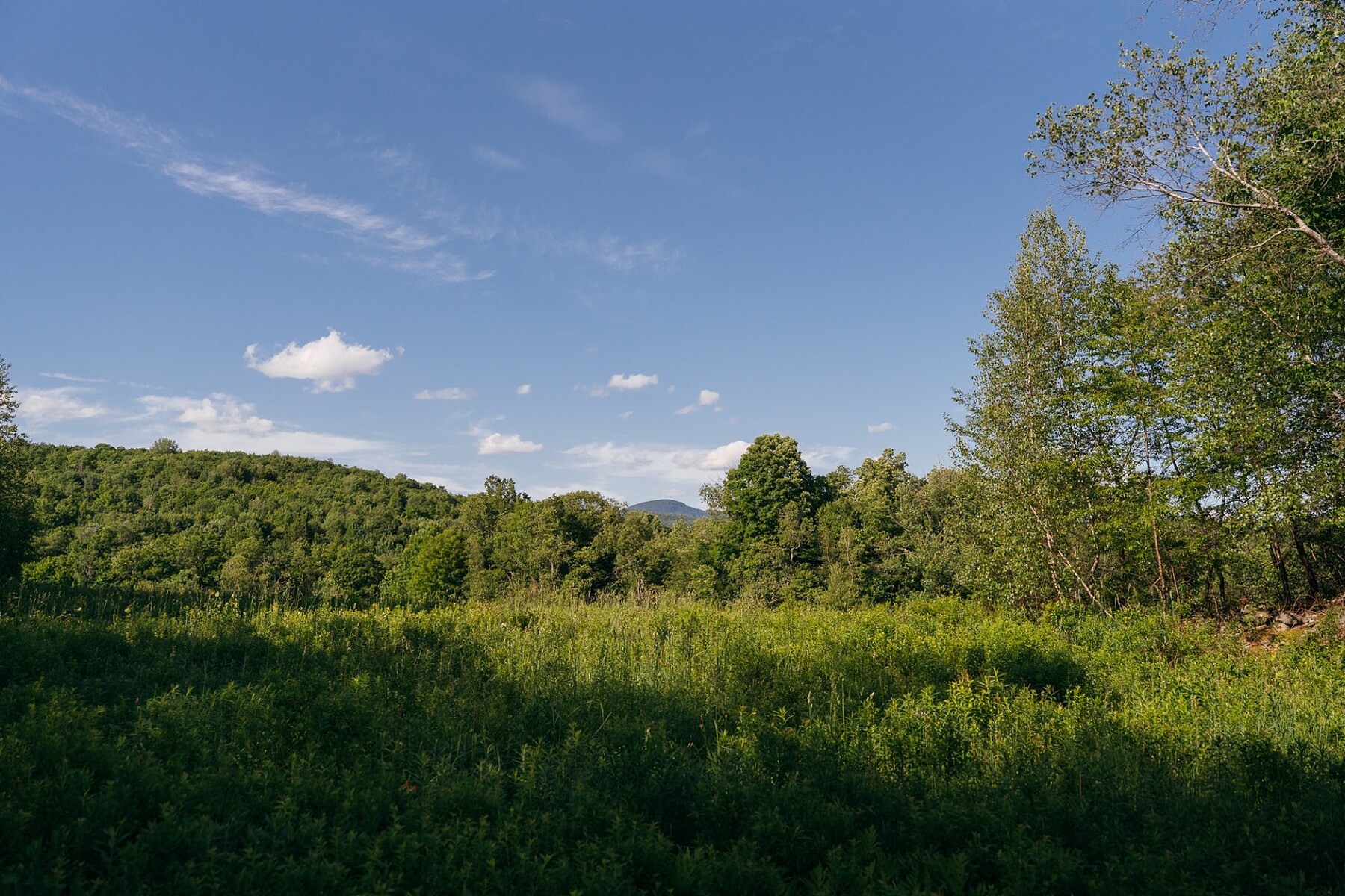  Sutton, Eastern Townships - 物件實景
