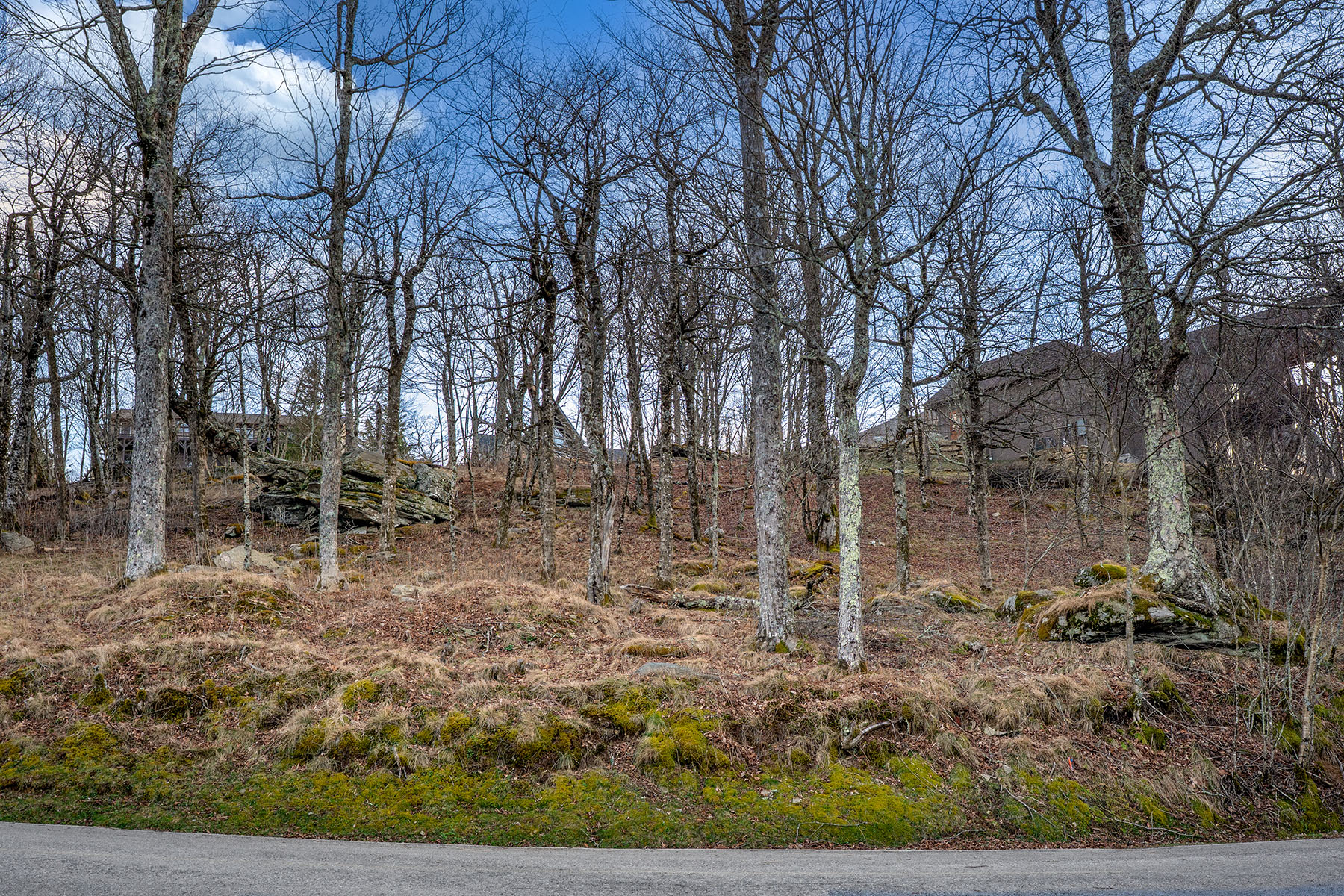  WOODLAND MEADOWS - BEECH MOUNTAIN - 物件實景