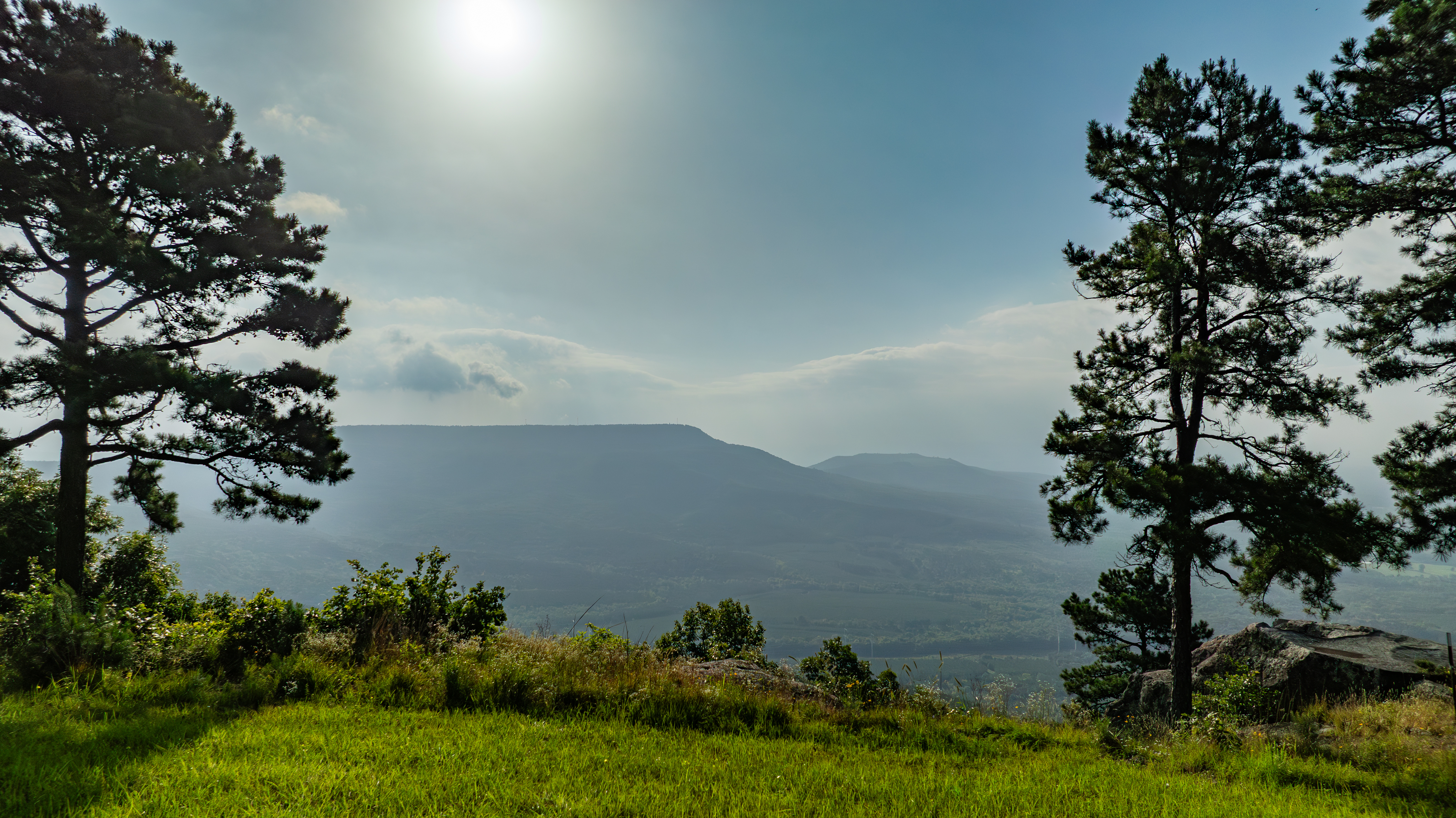  11334 Pool Hollow, Dardanelle, AR, 72834 - 物件實景