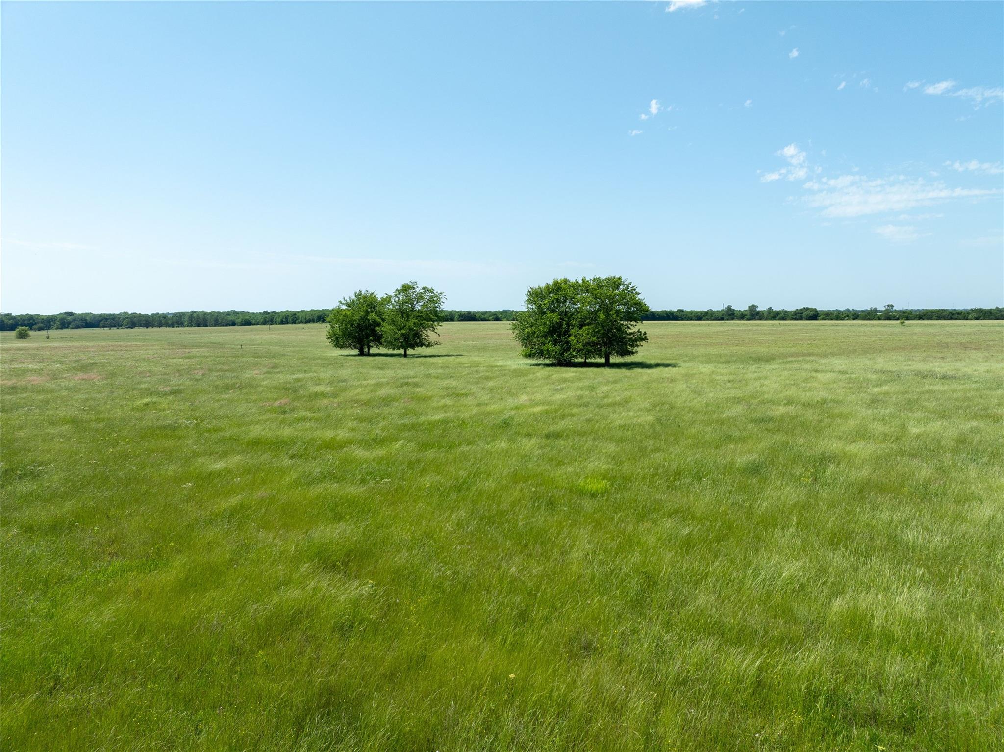 Blossom, Texas, 75416, United States, ,Residential,For Sale,1863967