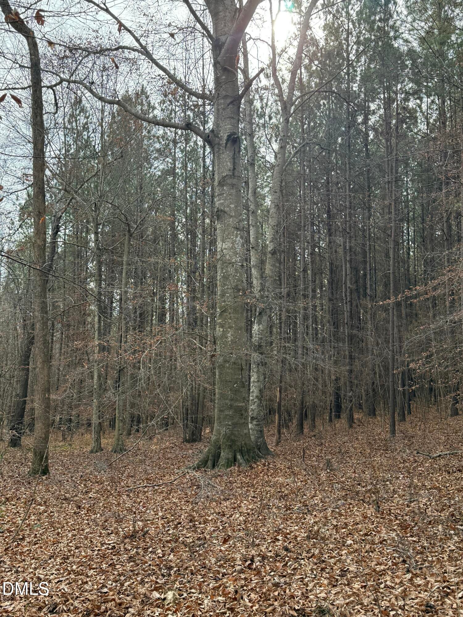 Oxford, North Carolina, 27565, United States, ,Land,For Sale,2000467