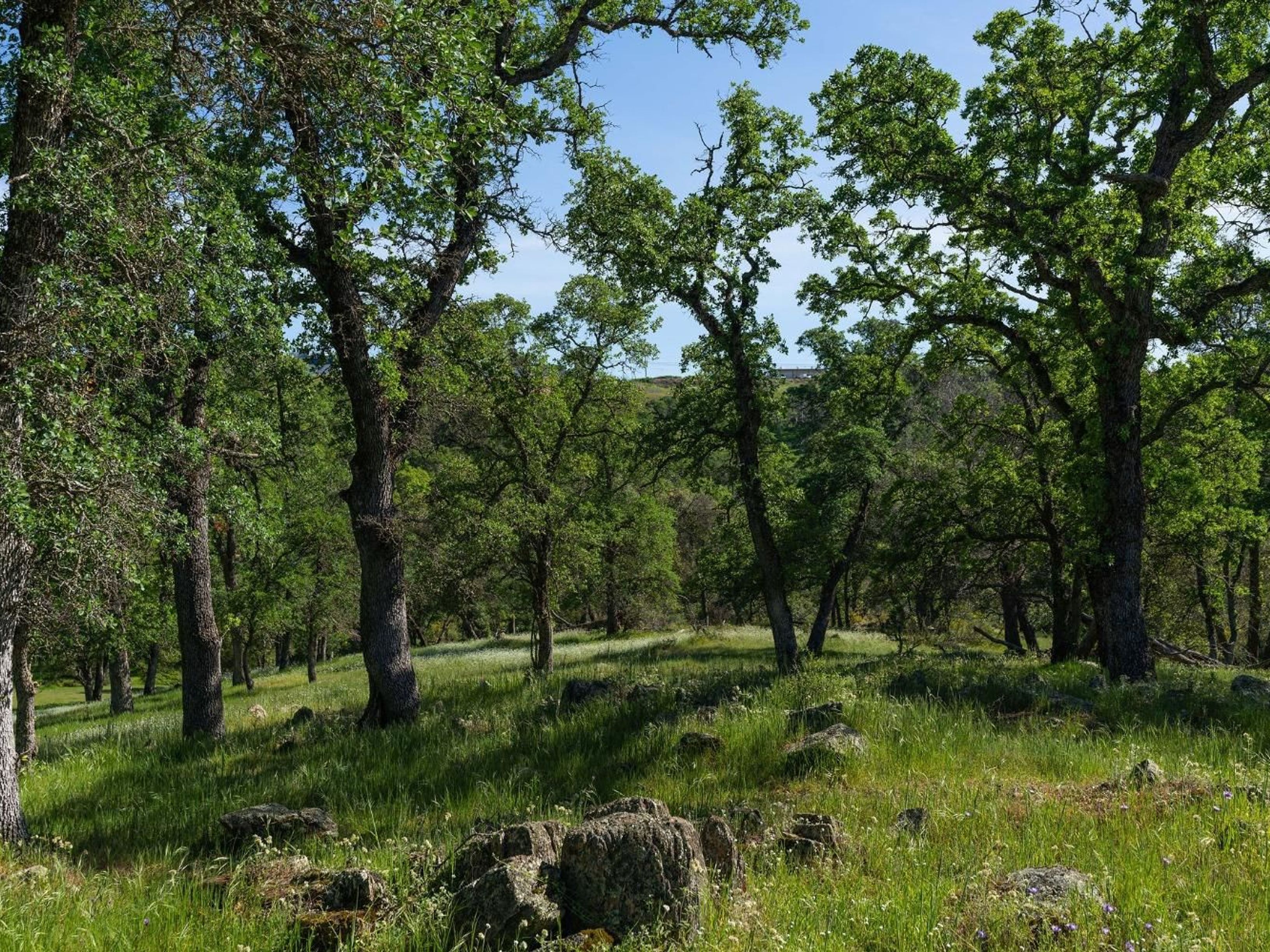  10865 Sunset Drive, Sutter Creek, CA 95685 - 物件實景