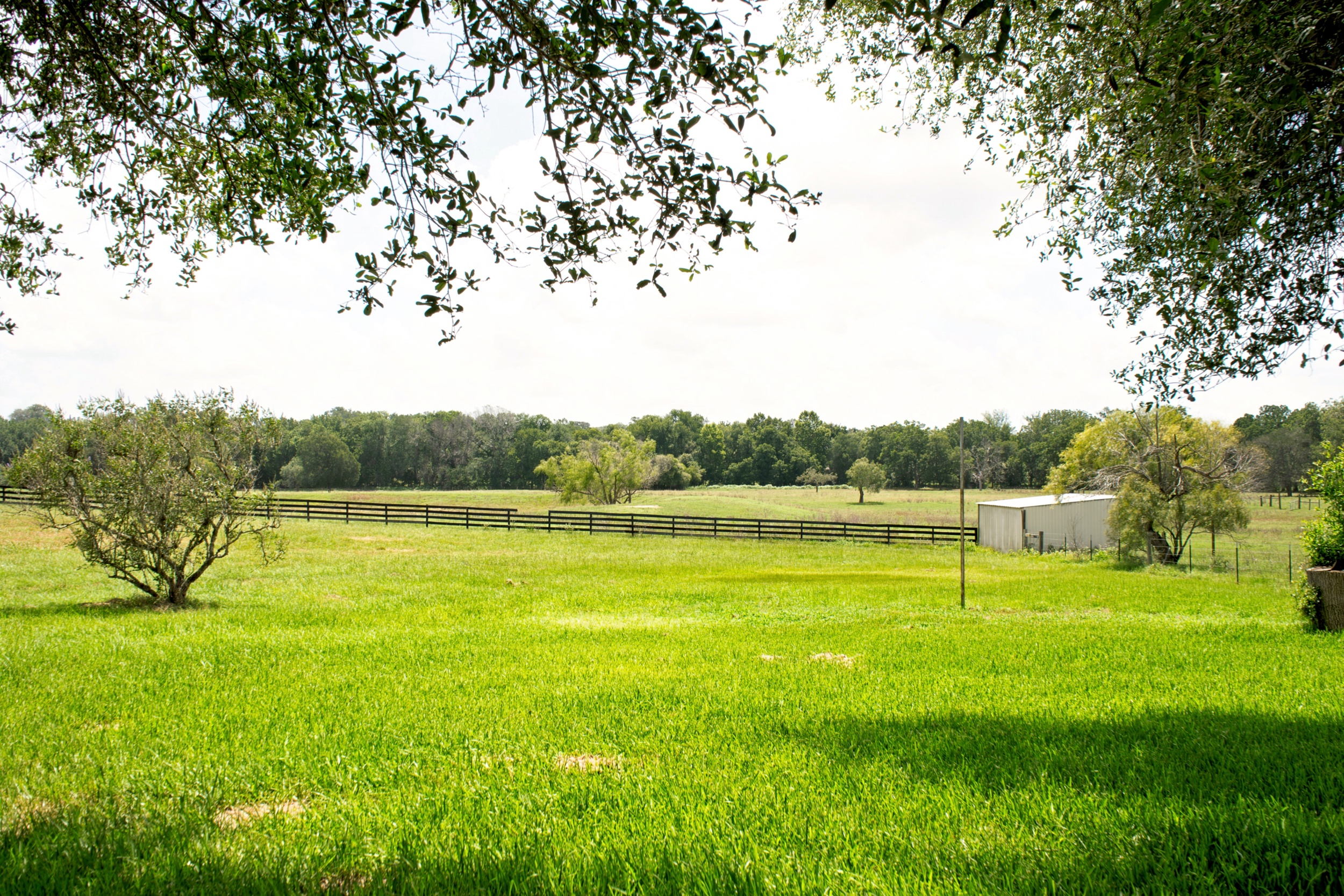  76.77 Acres, Colorado County, Weimer, TX 78962 - 物件實景