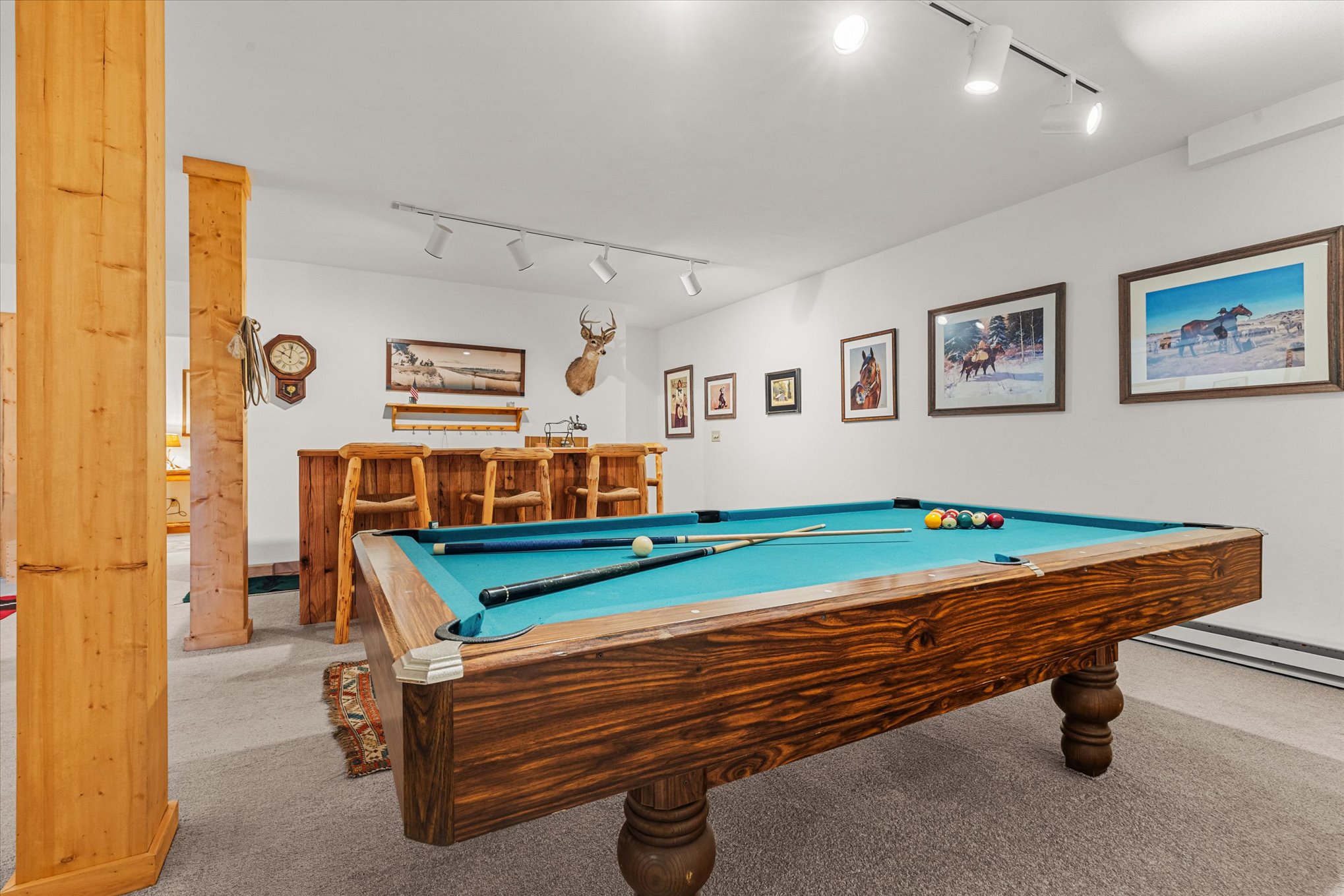  59205 Button Willow Drive, Clark, CO, 80428 - 物件實景