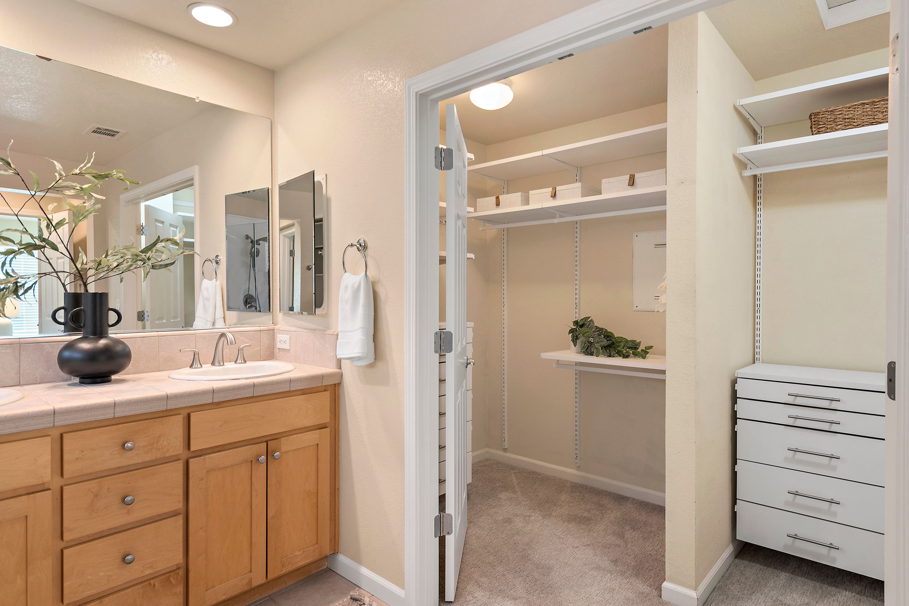  Bright, Stylish Living Near Downtown Los Gatos - 物件實景