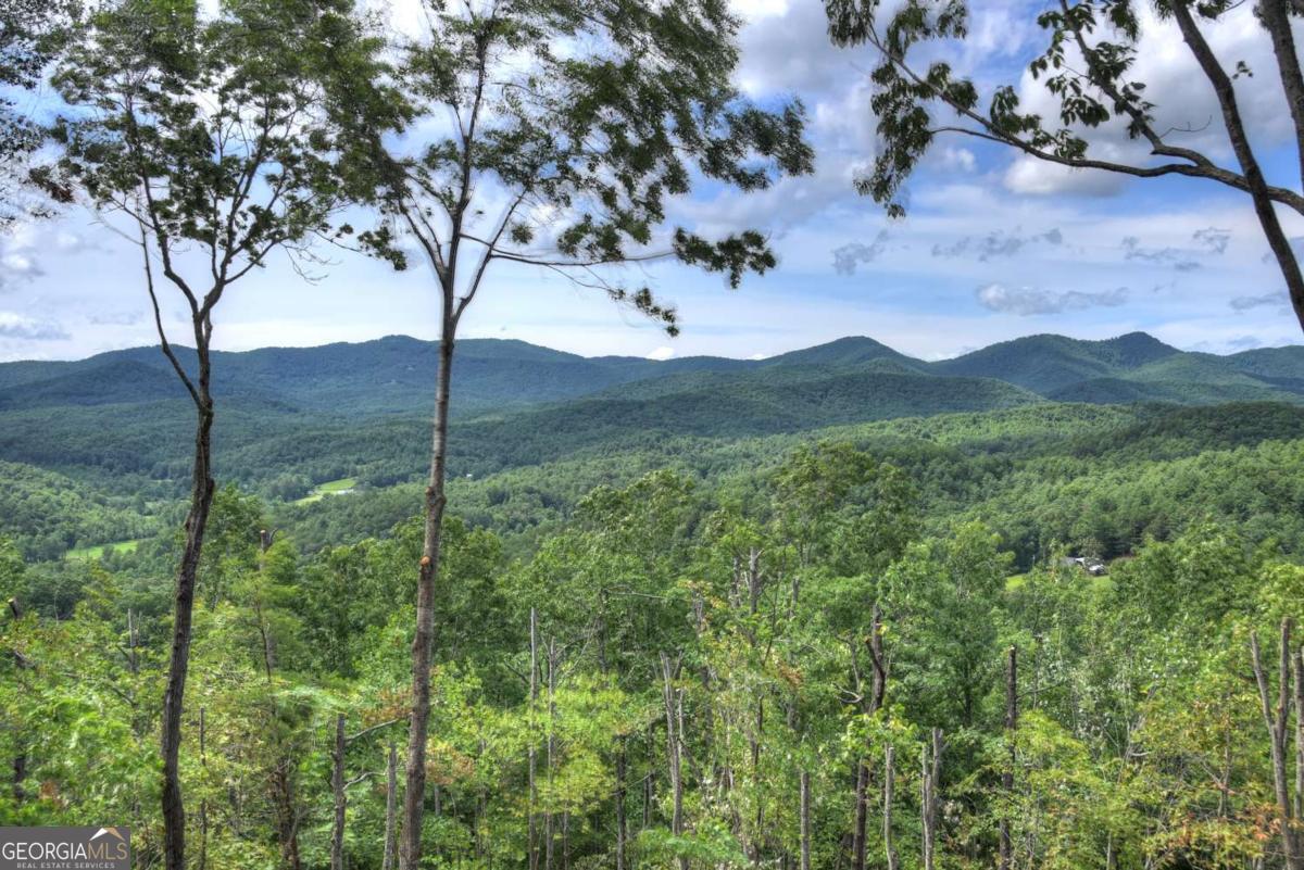 Mineral Bluff, Georgia, 30559, United States, 4 Bedrooms Bedrooms, ,4 BathroomsBathrooms,Residential,For Sale,1876887